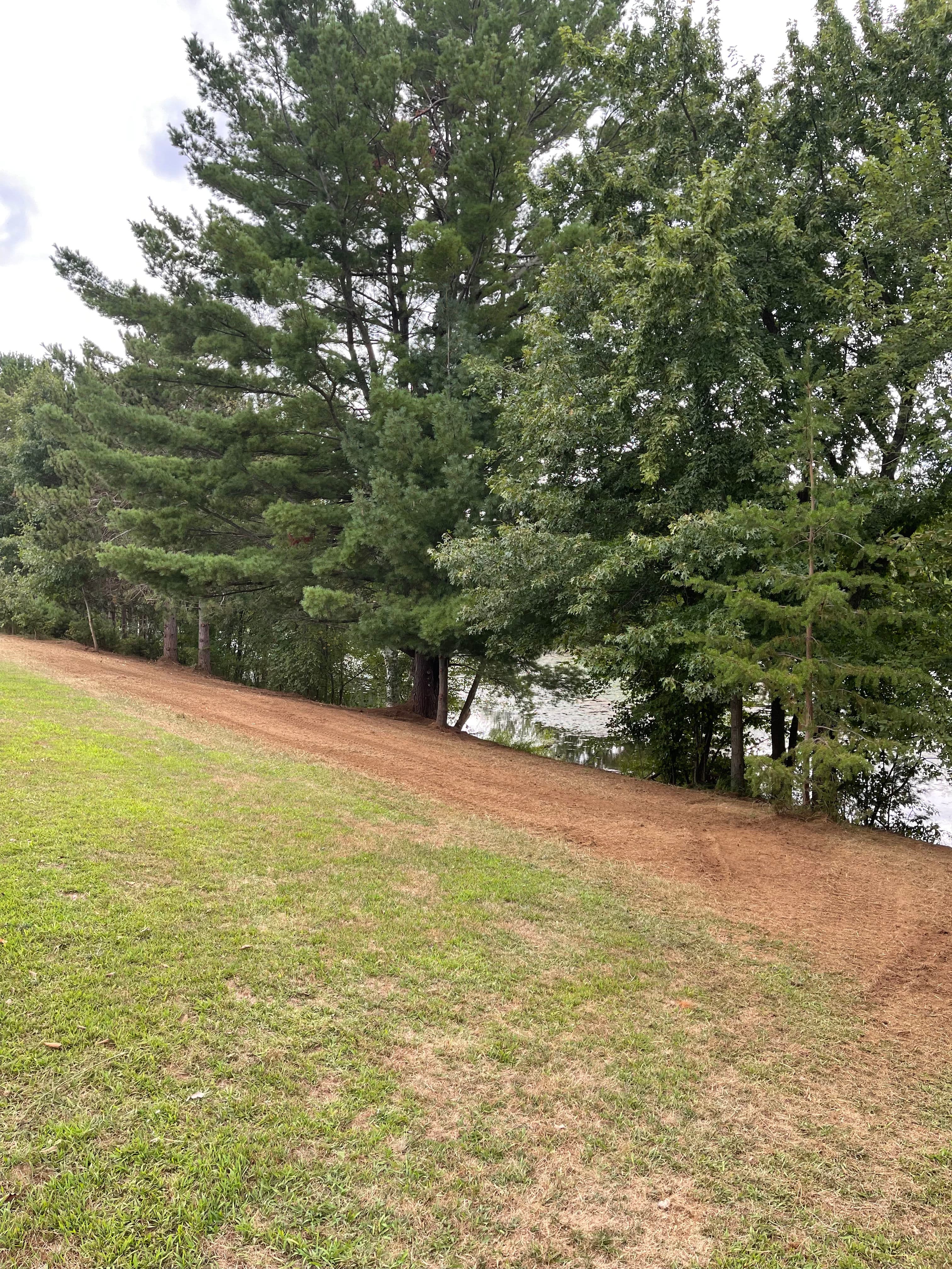 Project Forestry Mulching Clears Overgrown Lakefront Property in Mosinee image