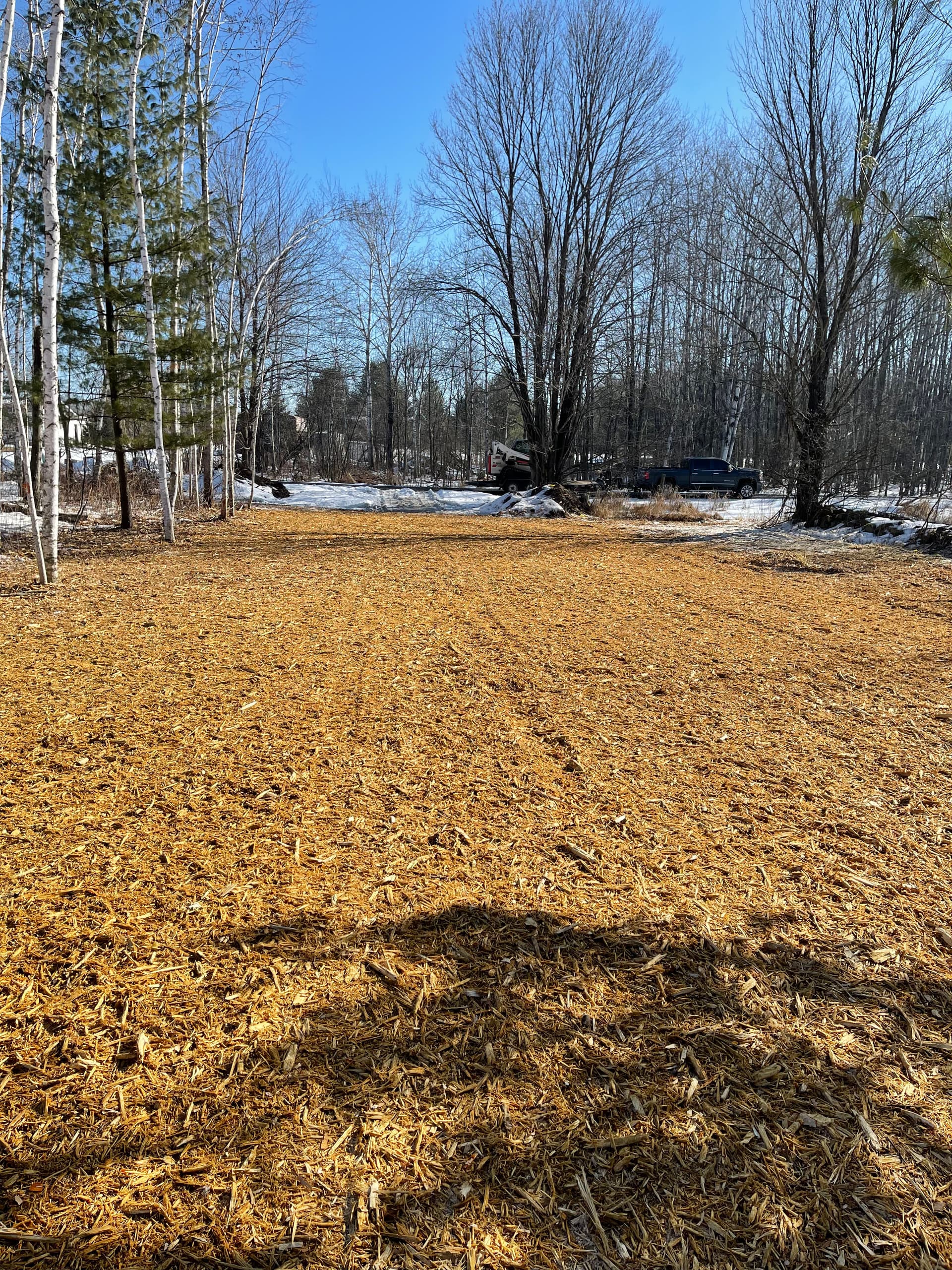 Gallery photos for Snowy Forest Transformation in Mosinee with Forestry Mulching: Image #3