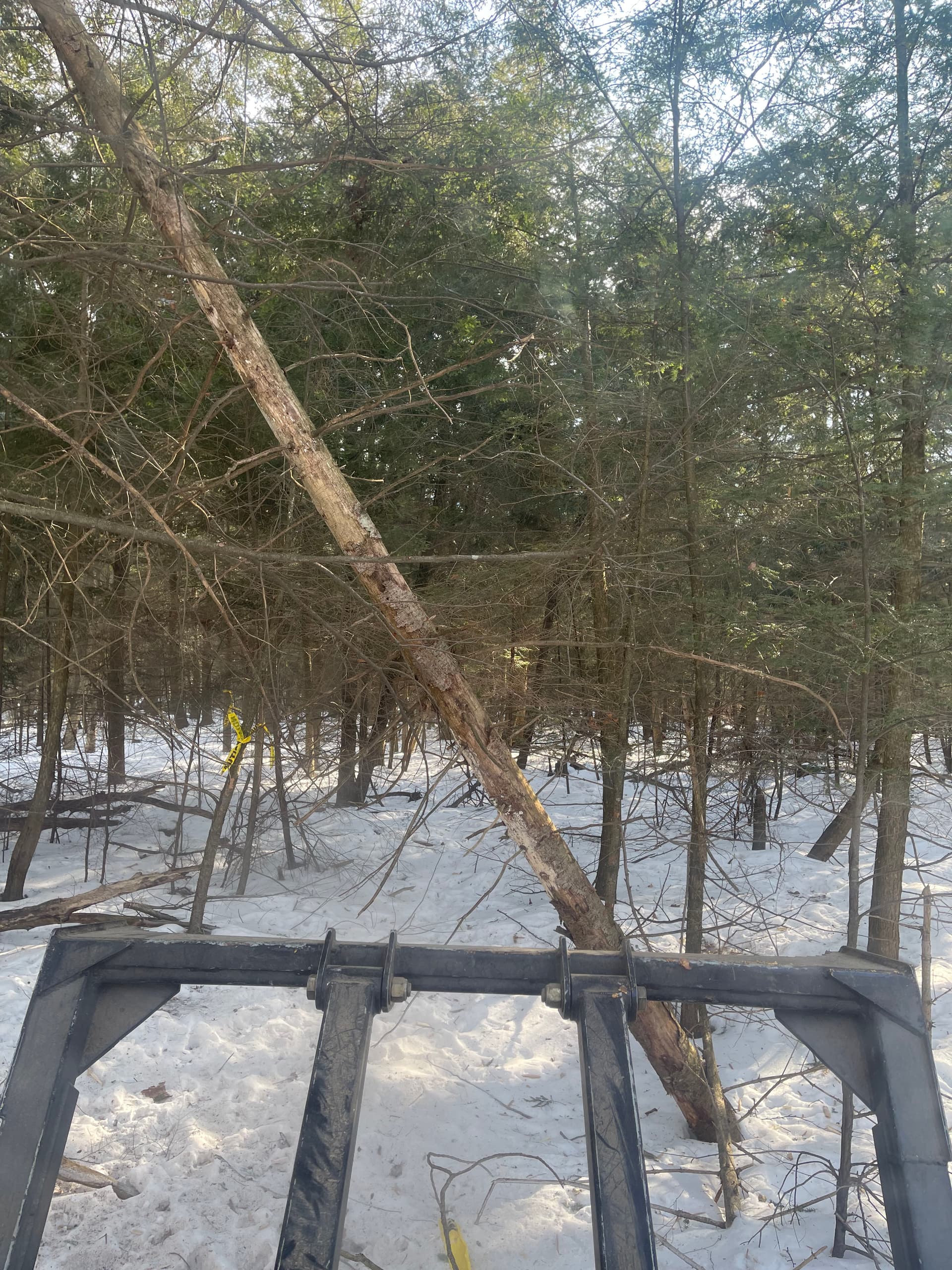 Gallery photos for Opening New Hunting Paths for Empowered Dream Hunts in Marathon: Image #3