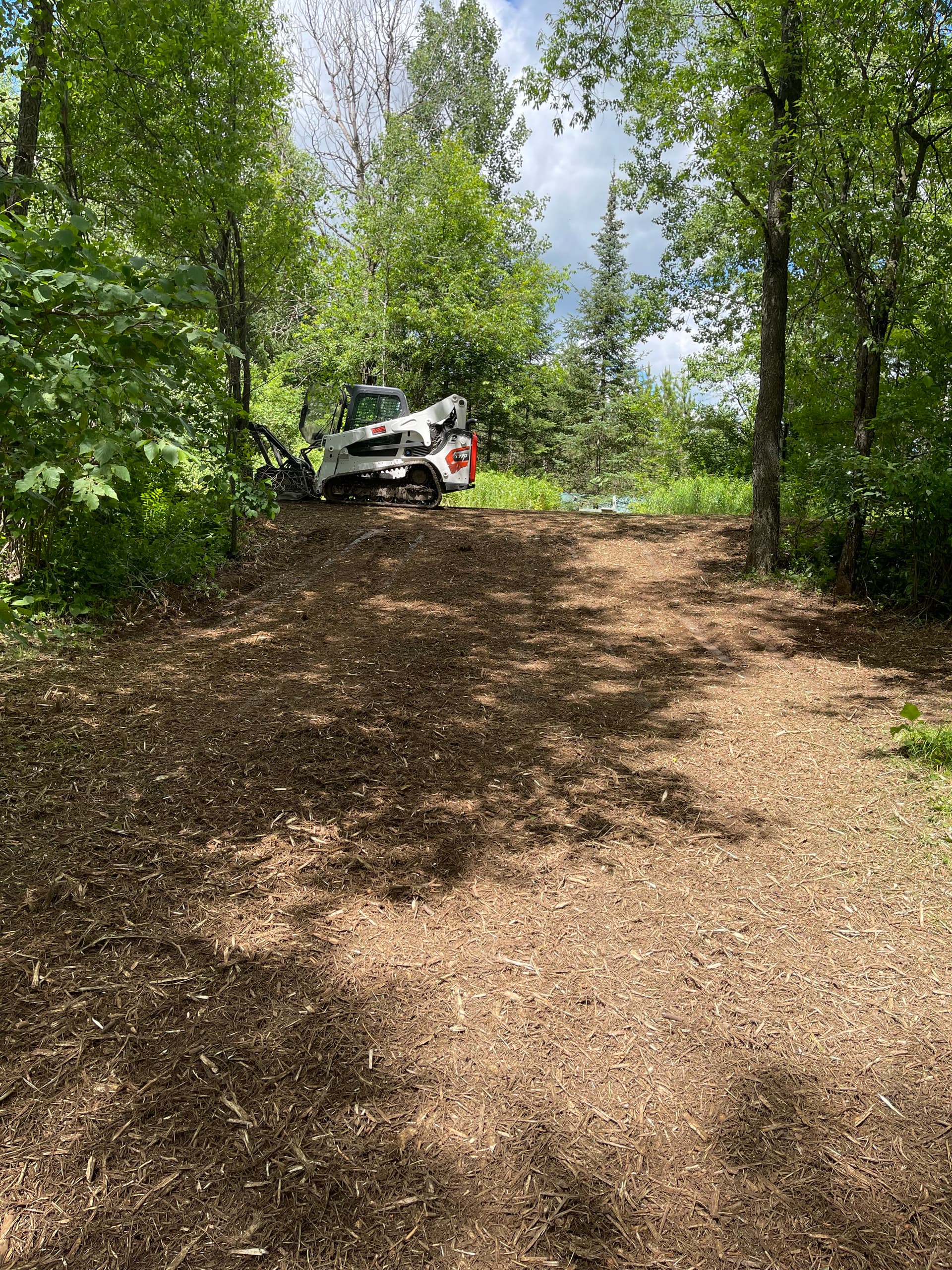 Gallery photos for Forestry Mulching That Turns Overgrown Land Into Usable Trails: Image #6