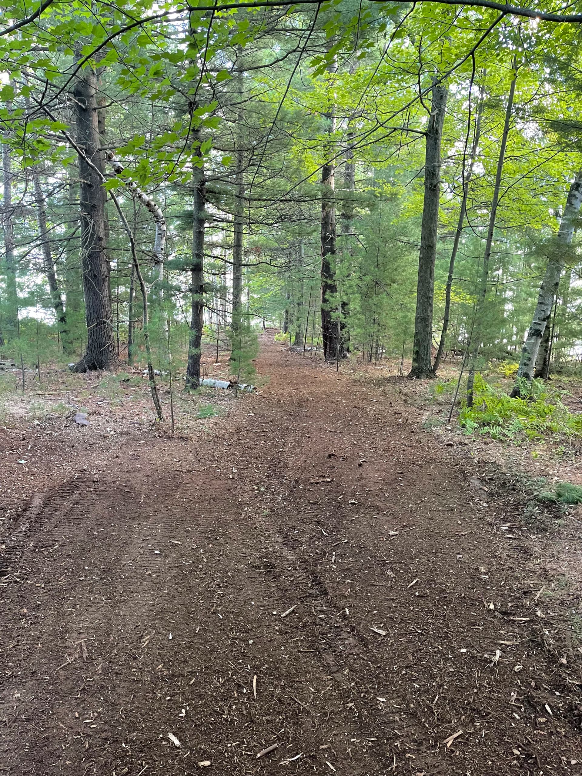 Gallery photos for Forestry Mulching Clears Overgrown Lake DuBay Shoreline in Mosinee: Image #8