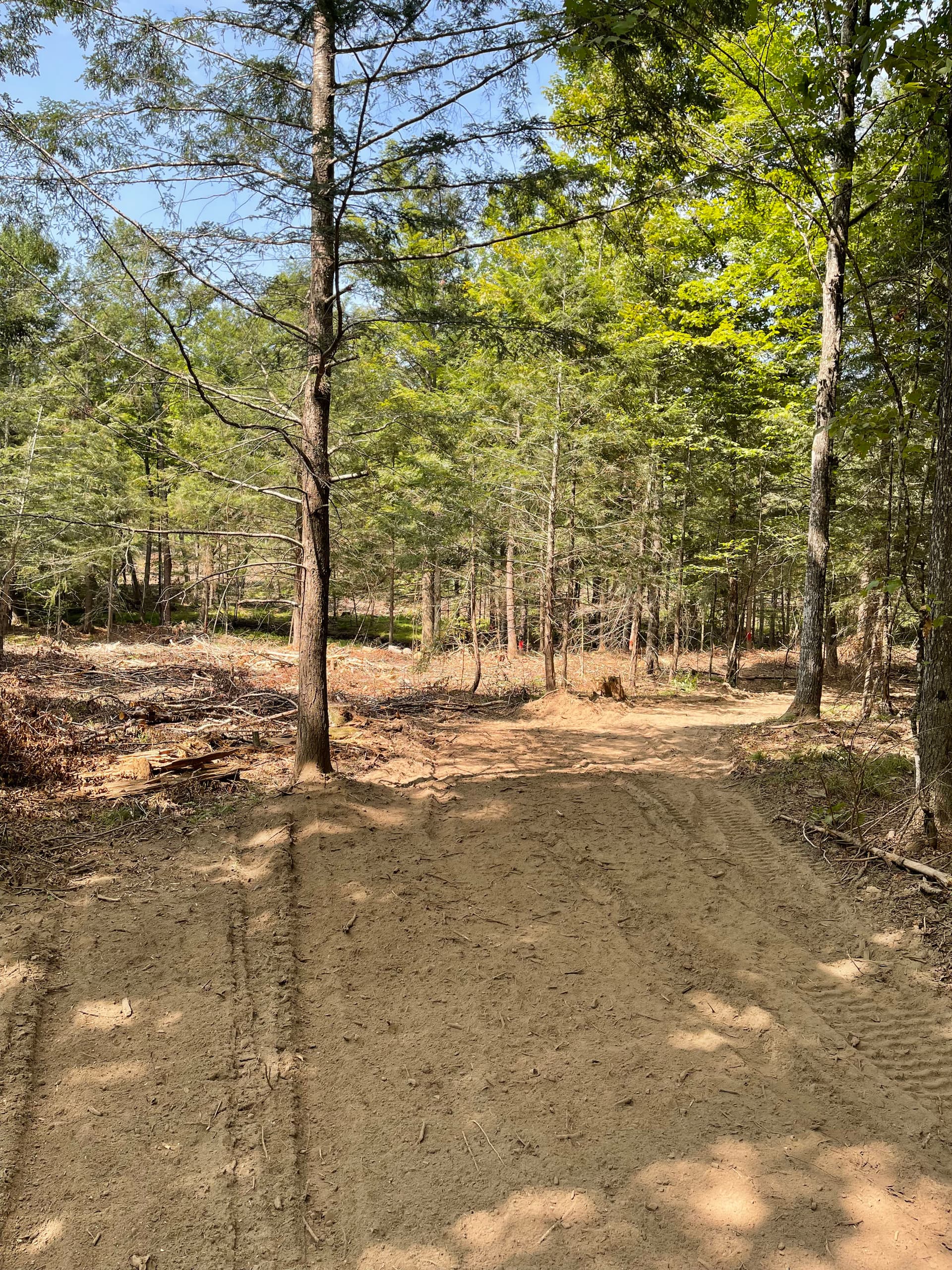 Gallery photos for Post-Logging Trail Cleanup with Forestry Mulching in Athens: Image #5
