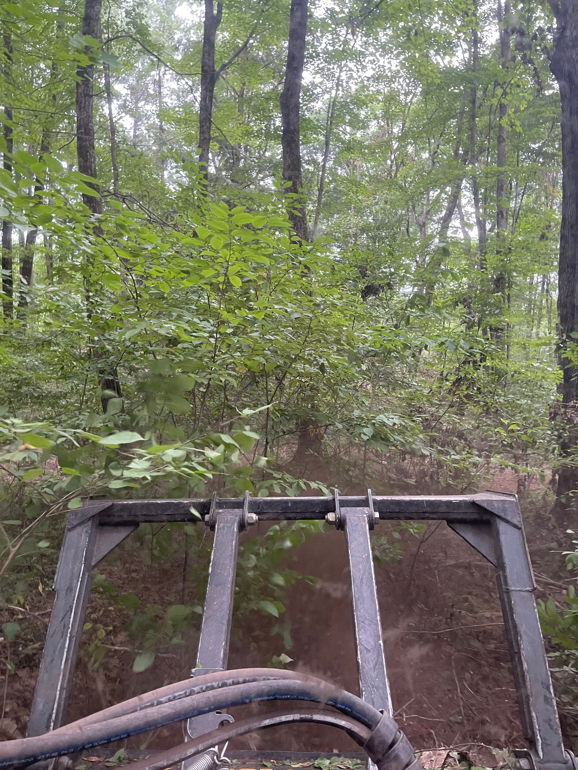 Gallery photos for Forestry Mulching Opens Up Overgrown Front Yard Near Pallen Lake: Image #5