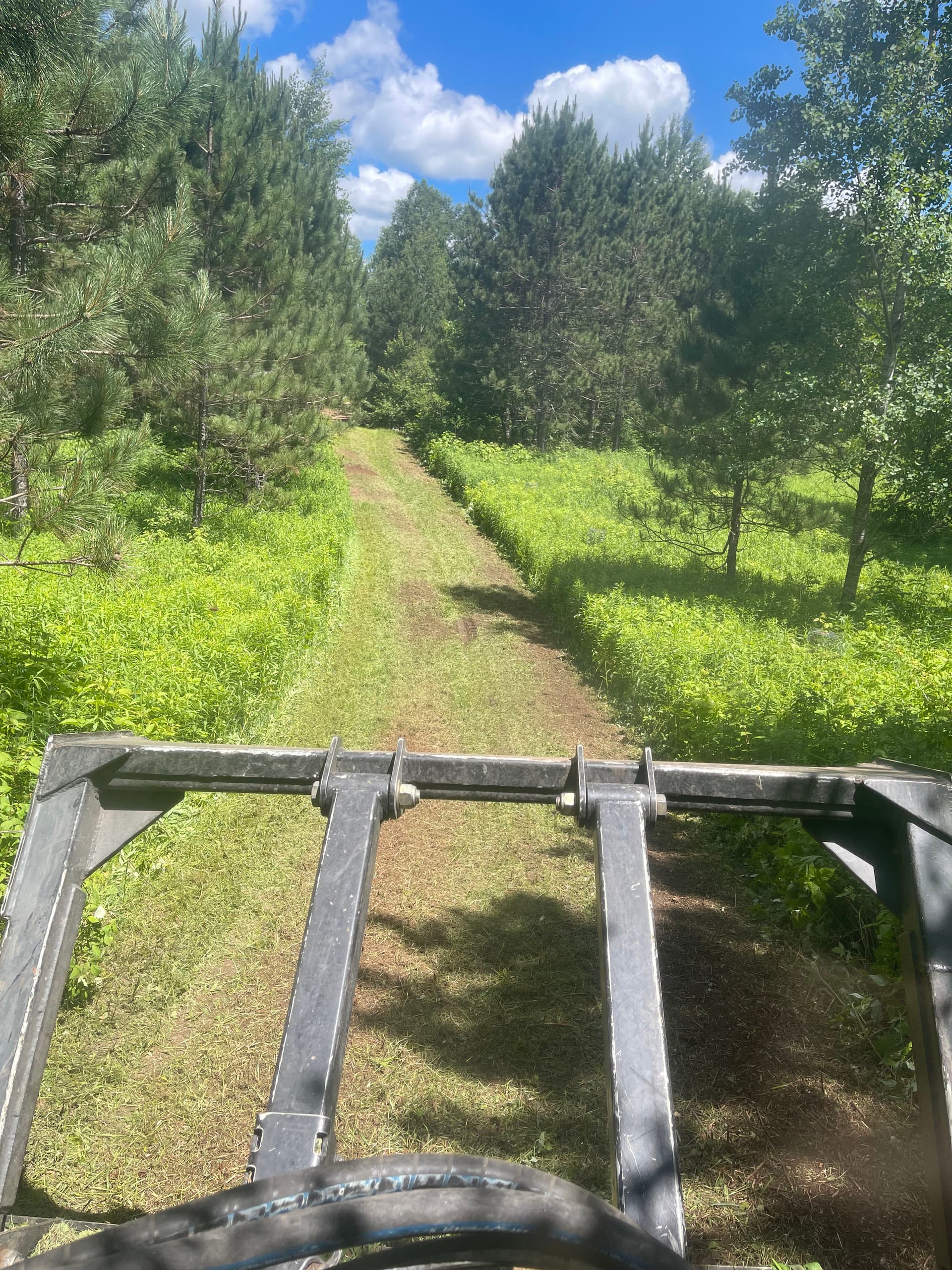 Gallery photos for Forestry Mulching That Turns Overgrown Land Into Usable Trails: Image #4