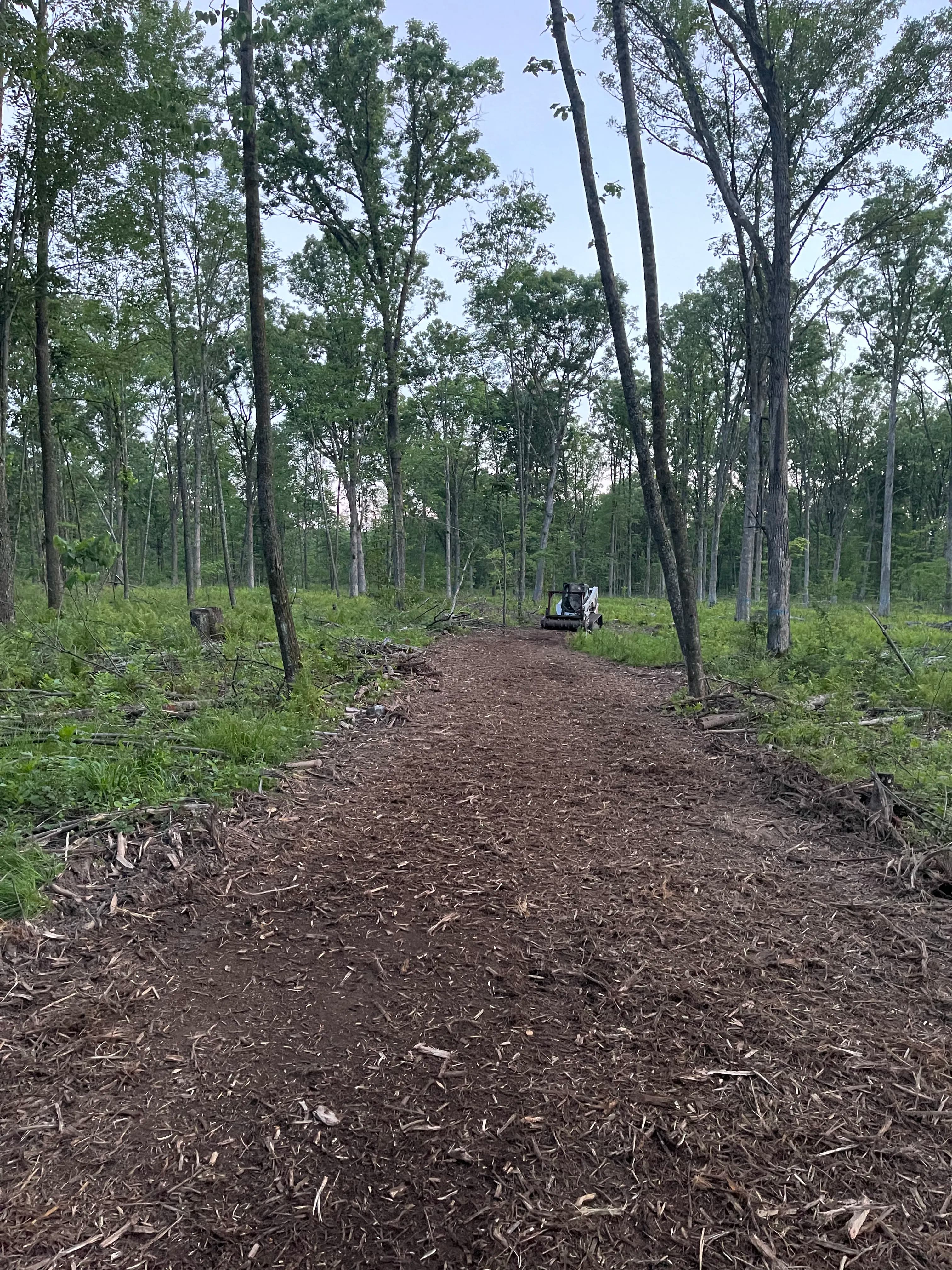 Project Forestry Mulching Cleans Up Logging Trails Near Neillsville image