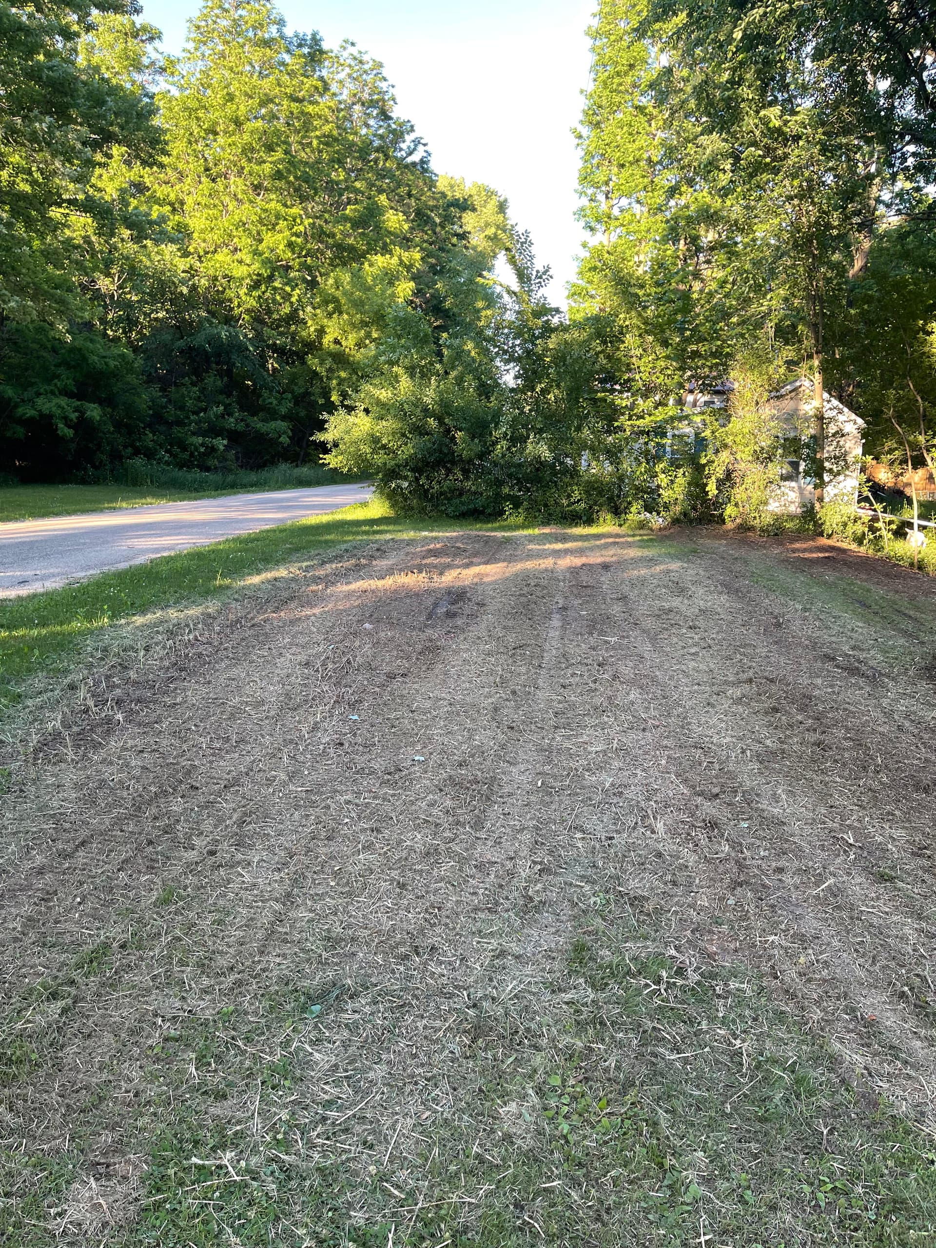 Gallery photos for Forestry Mulching Cleans Up Overgrown Riverfront Property in Mosinee: Image #3
