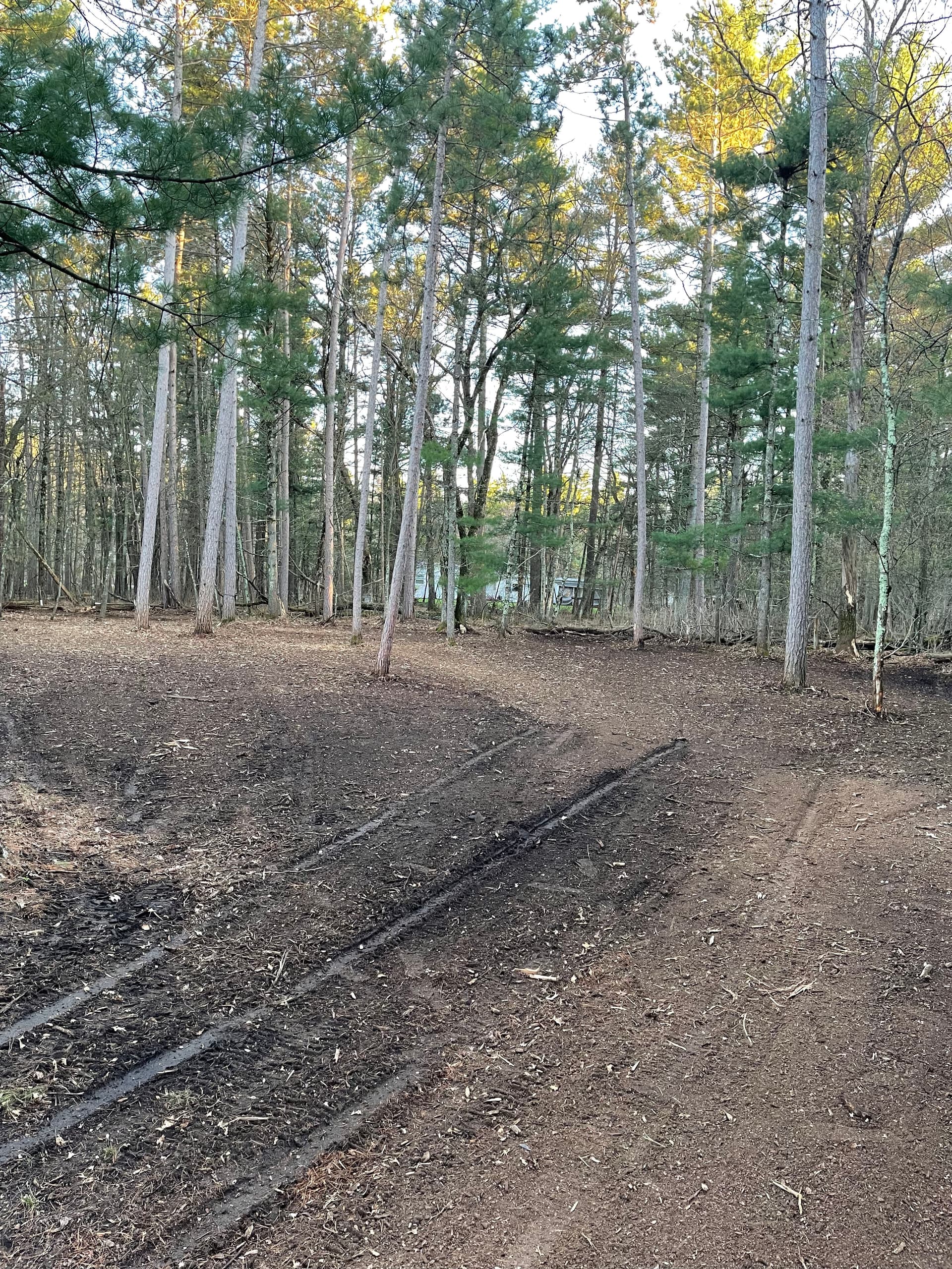 Gallery photos for Backyard Brush Clearing Done Right in Kronenwetter: Image #2