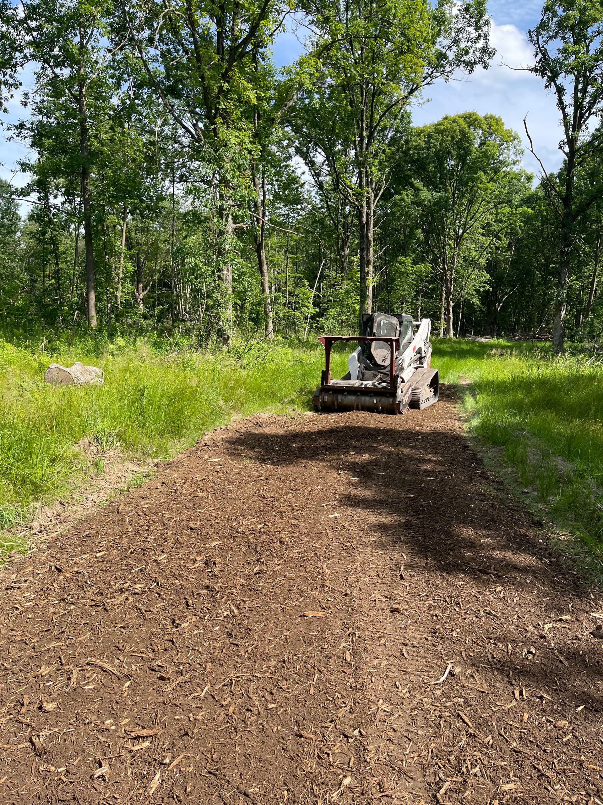 Gallery photos for Forestry Mulching Cleans Up Logging Trails Near Neillsville: Image #3