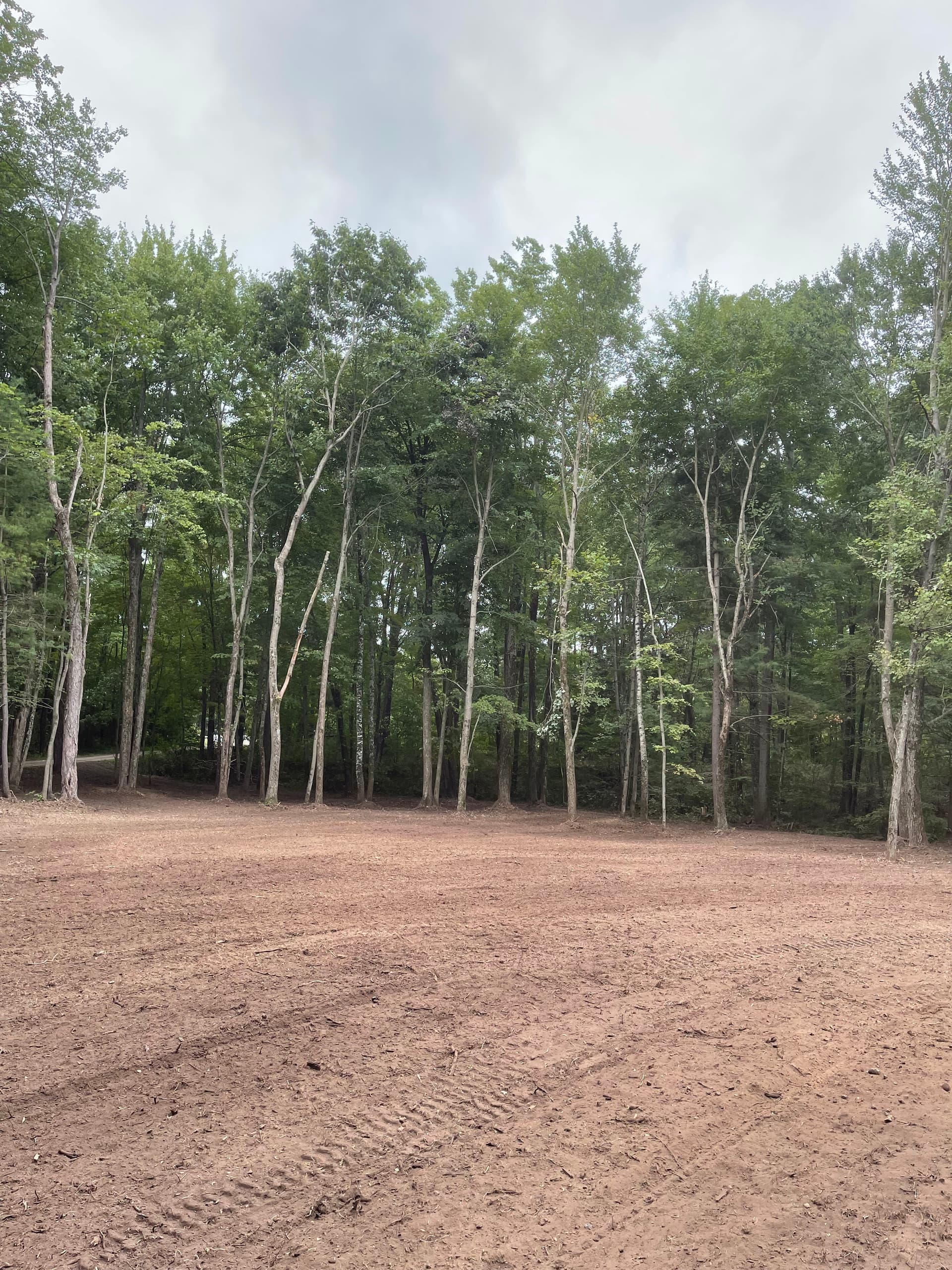 Forestry Mulching Opens Up Overgrown Front Yard Near Pallen Lake image