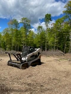 Bobcat skid steer loader clearing land in a forested area under a blue sky.