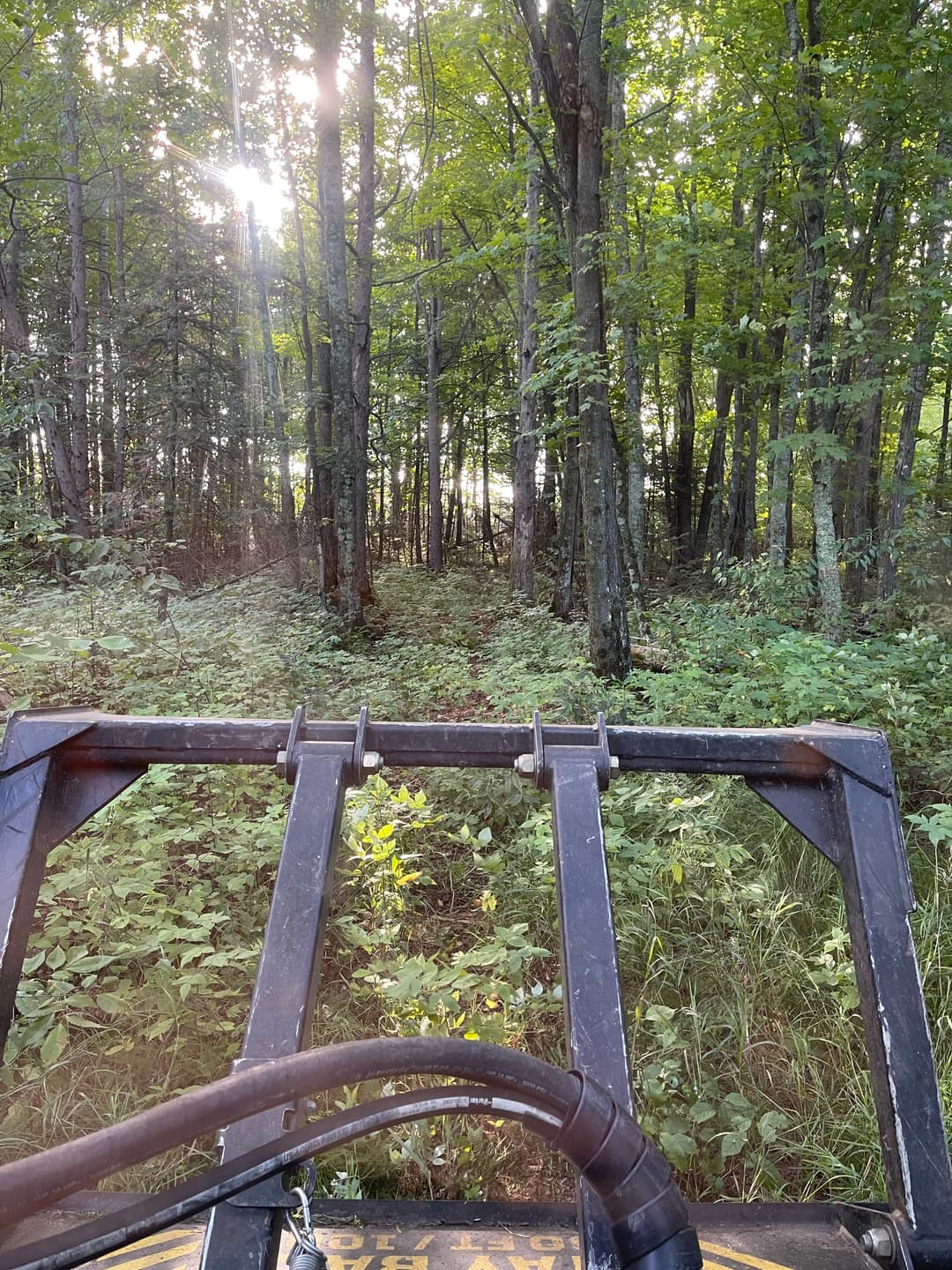 View from an all-terrain vehicle in a sunlit forest trail surrounded by green vegetation.