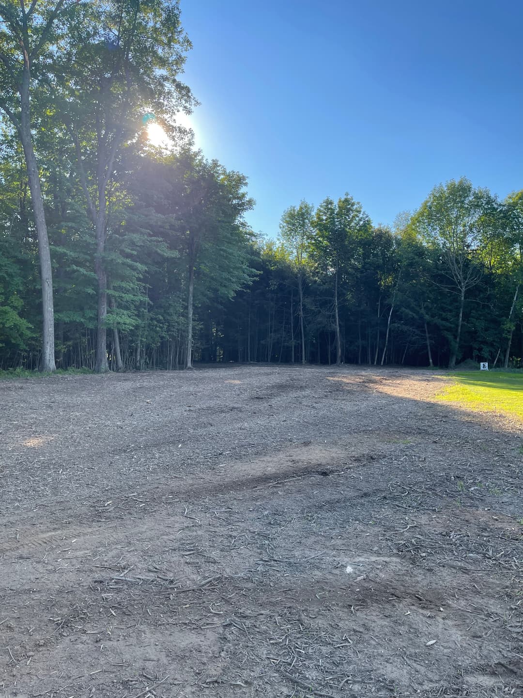 Cleared land in a forest with sunlight filtering through trees and blue sky overhead.