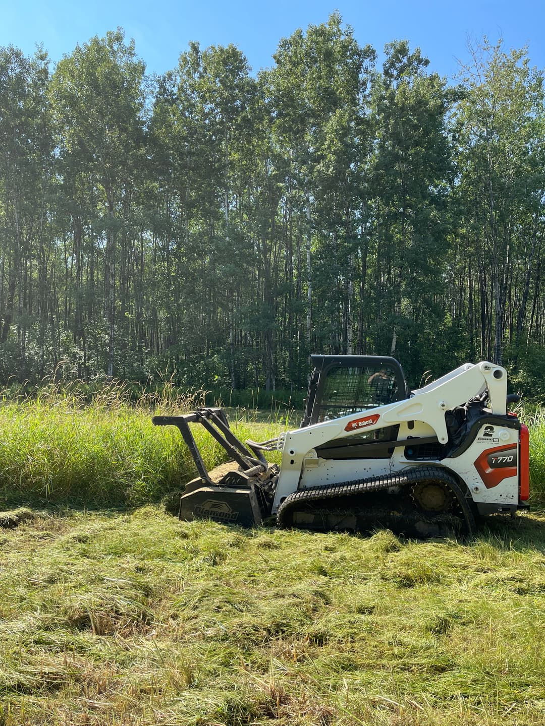 Skid steer loader clearing grass in a sunlit field with trees in the background.