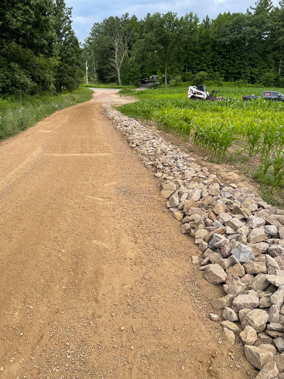 Gravel road bordered by large rocks, surrounded by lush green cornfields and trees.