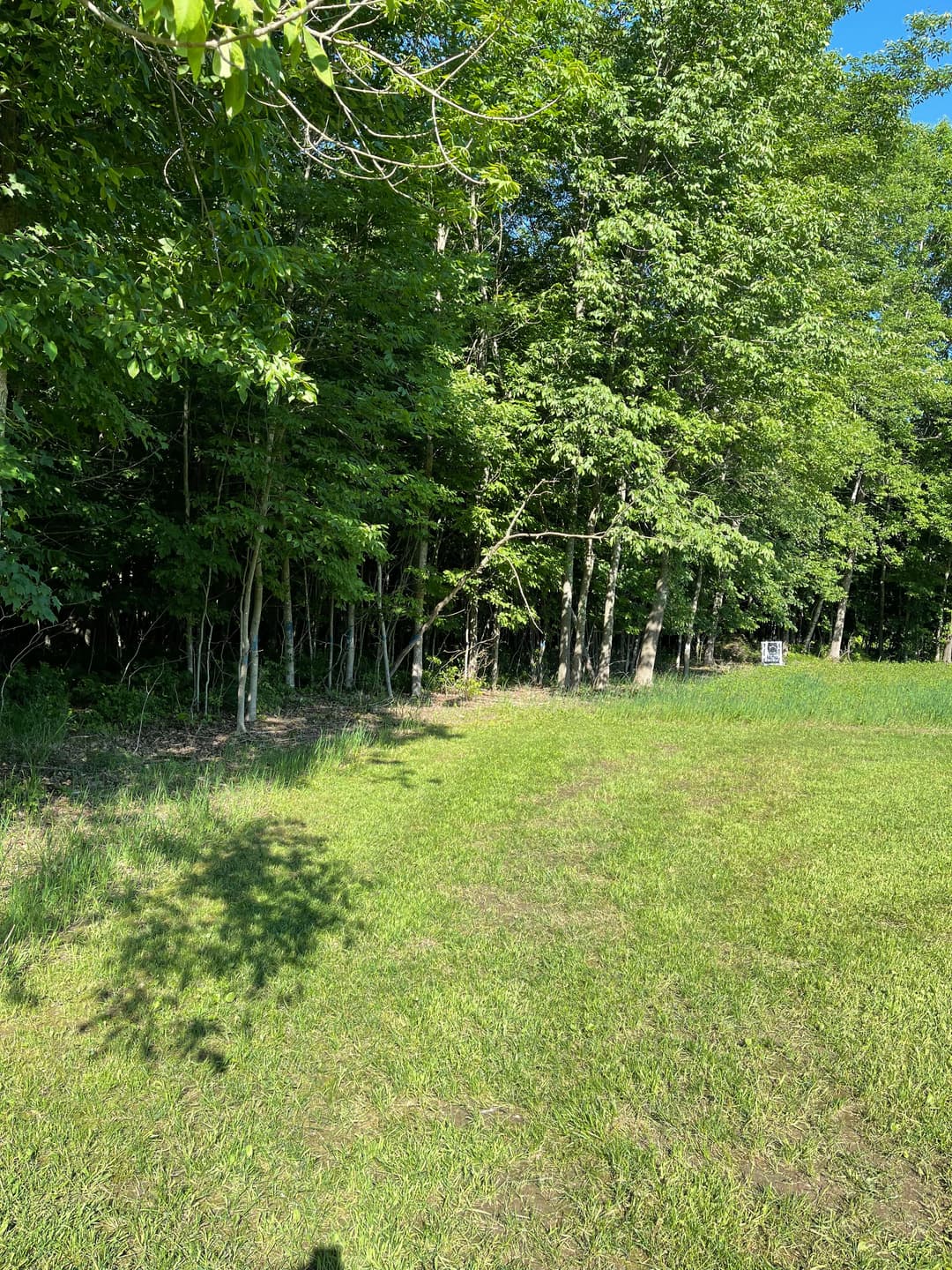 Lush green field with trees in the background under clear blue sky, ideal for outdoor activities.