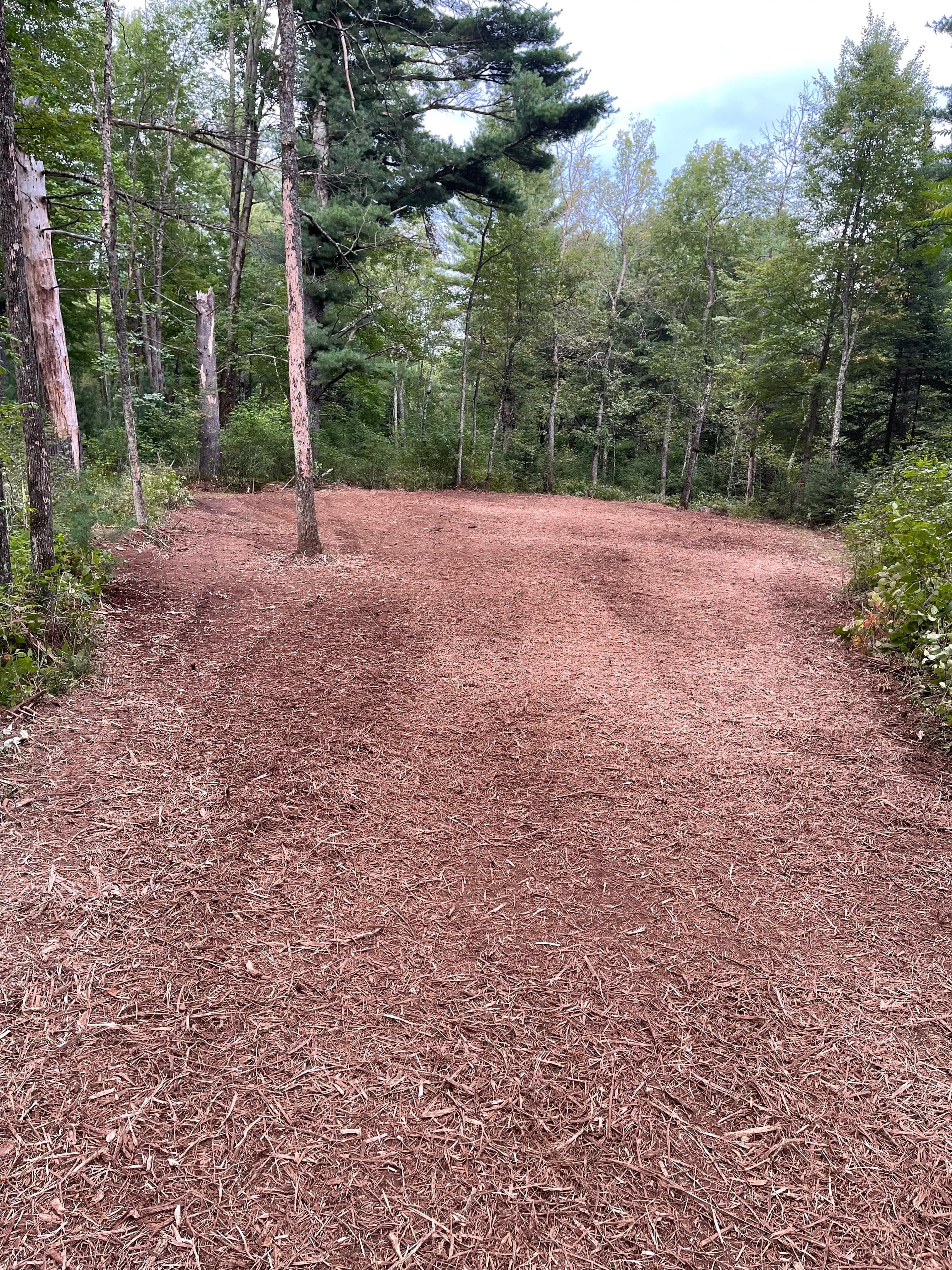Project Forestry Mulching Opens Up Overgrown Trail Near Eau Claire River in Weston image