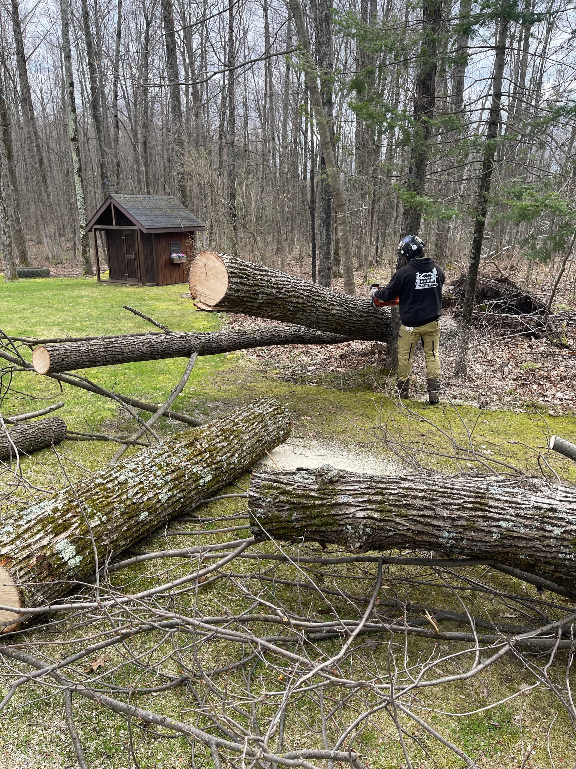 Gallery photos for Free Tornado Storm Cleanup for Ringle and Kronenwetter: Image #1