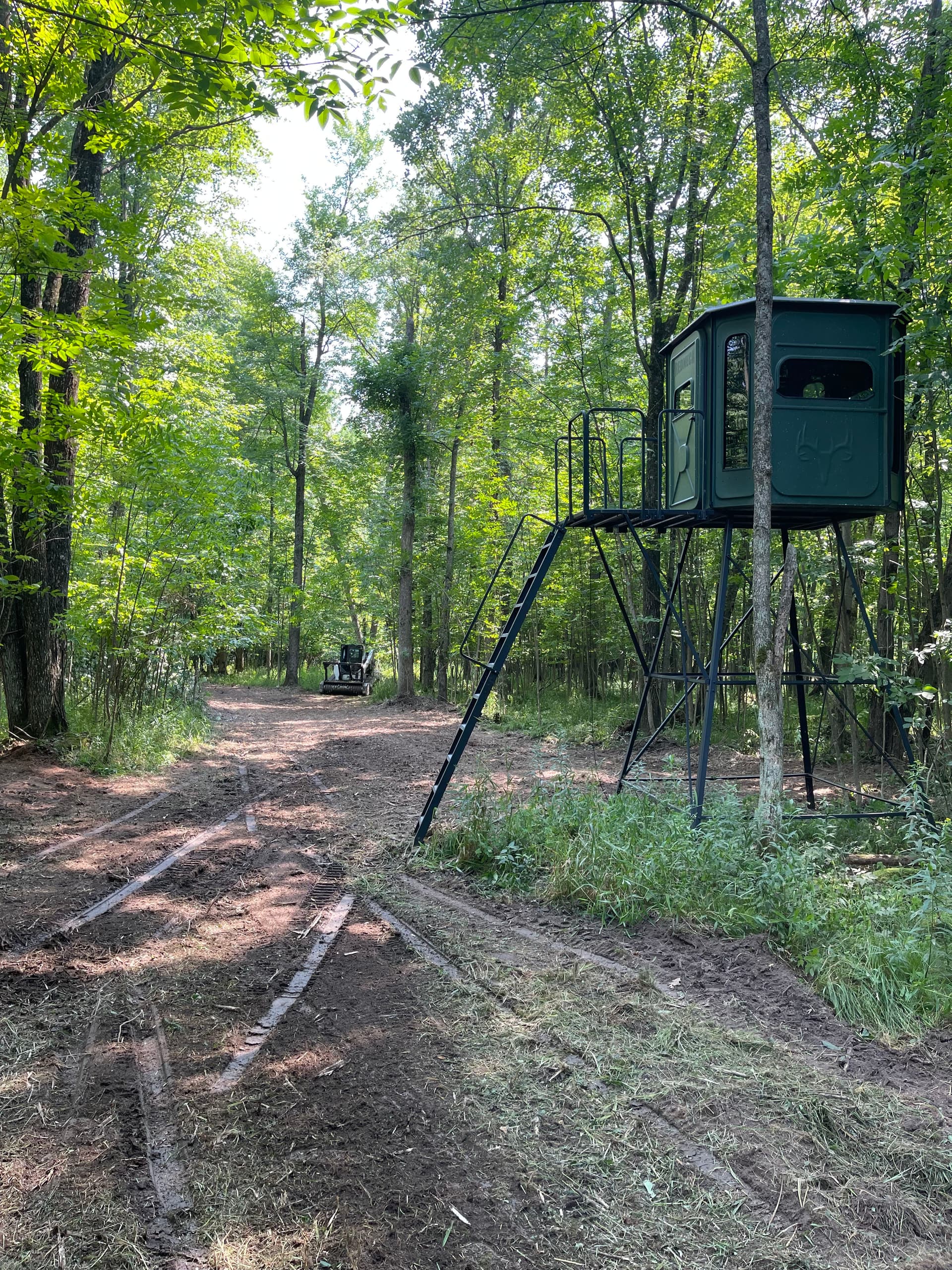Gallery photos for Forestry Mulching for Hunting Season Prep Near Loyal: Image #4
