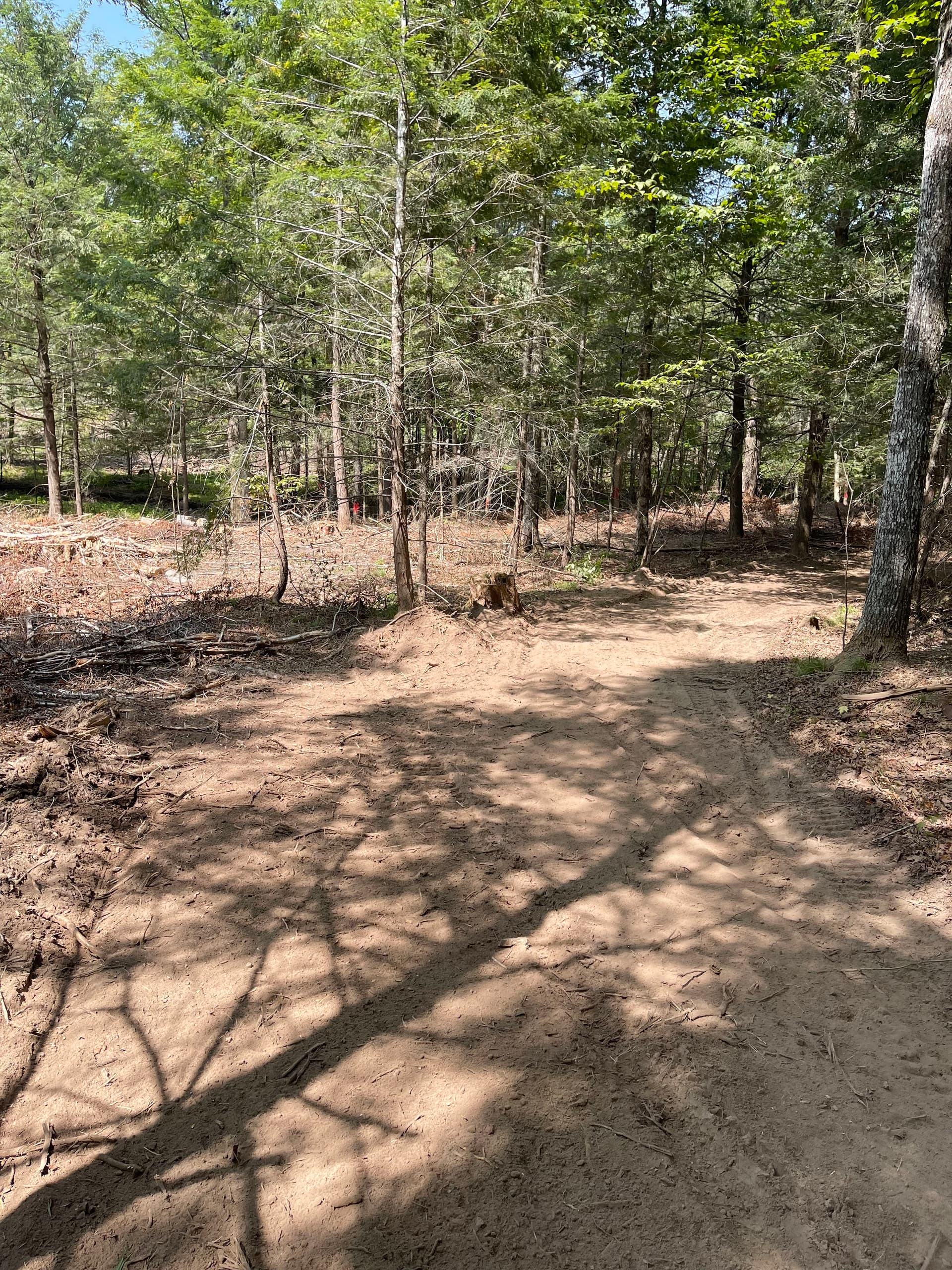 Gallery photos for Post-Logging Trail Cleanup with Forestry Mulching in Athens: Image #6