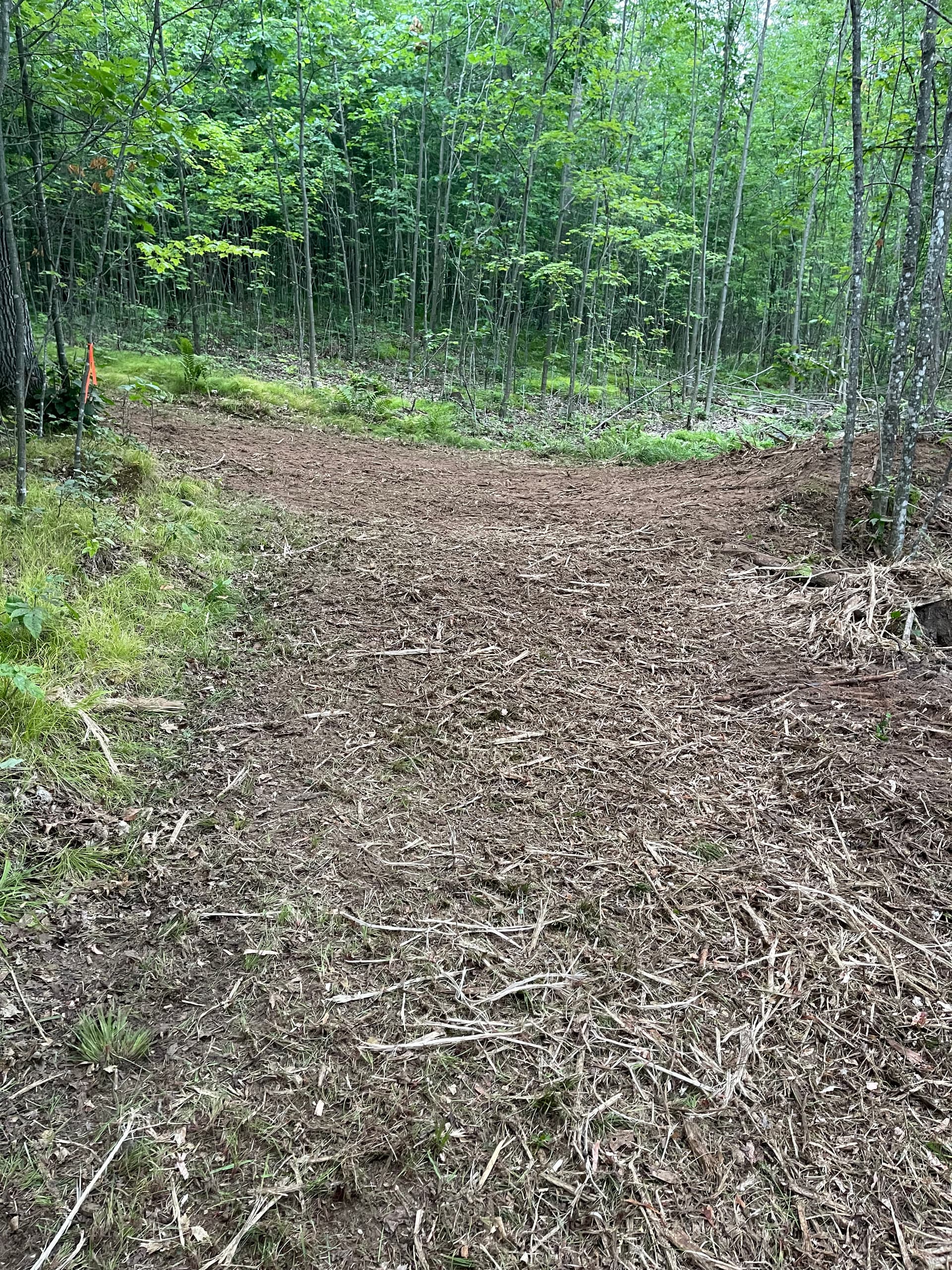Gallery photos for Timber Slash Mulching Clears a Usable Trail in Rib Lake: Image #8
