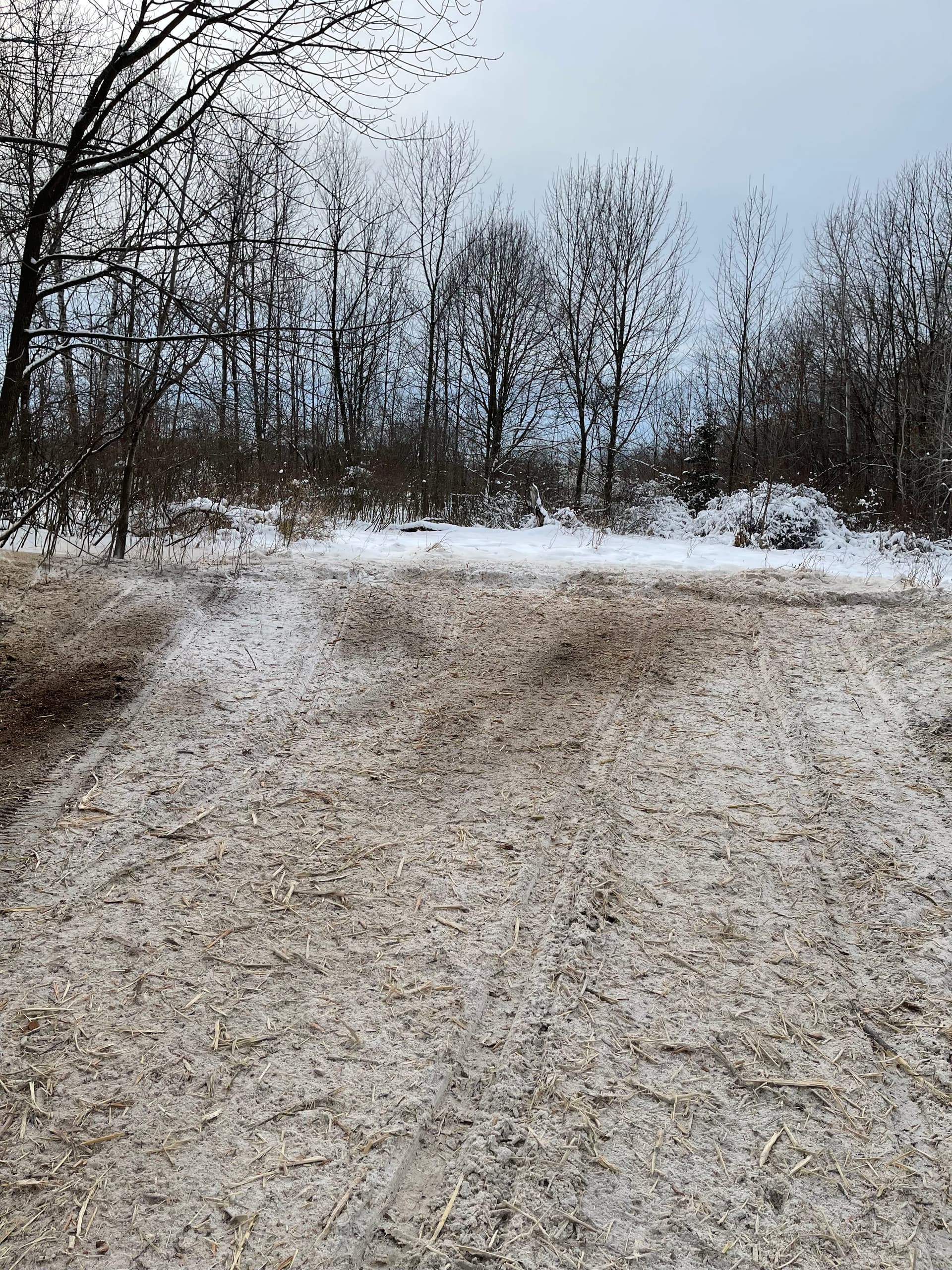 Gallery photos for Forestry Mulching in Mosinee Creating Winter Landscapes: Image #4