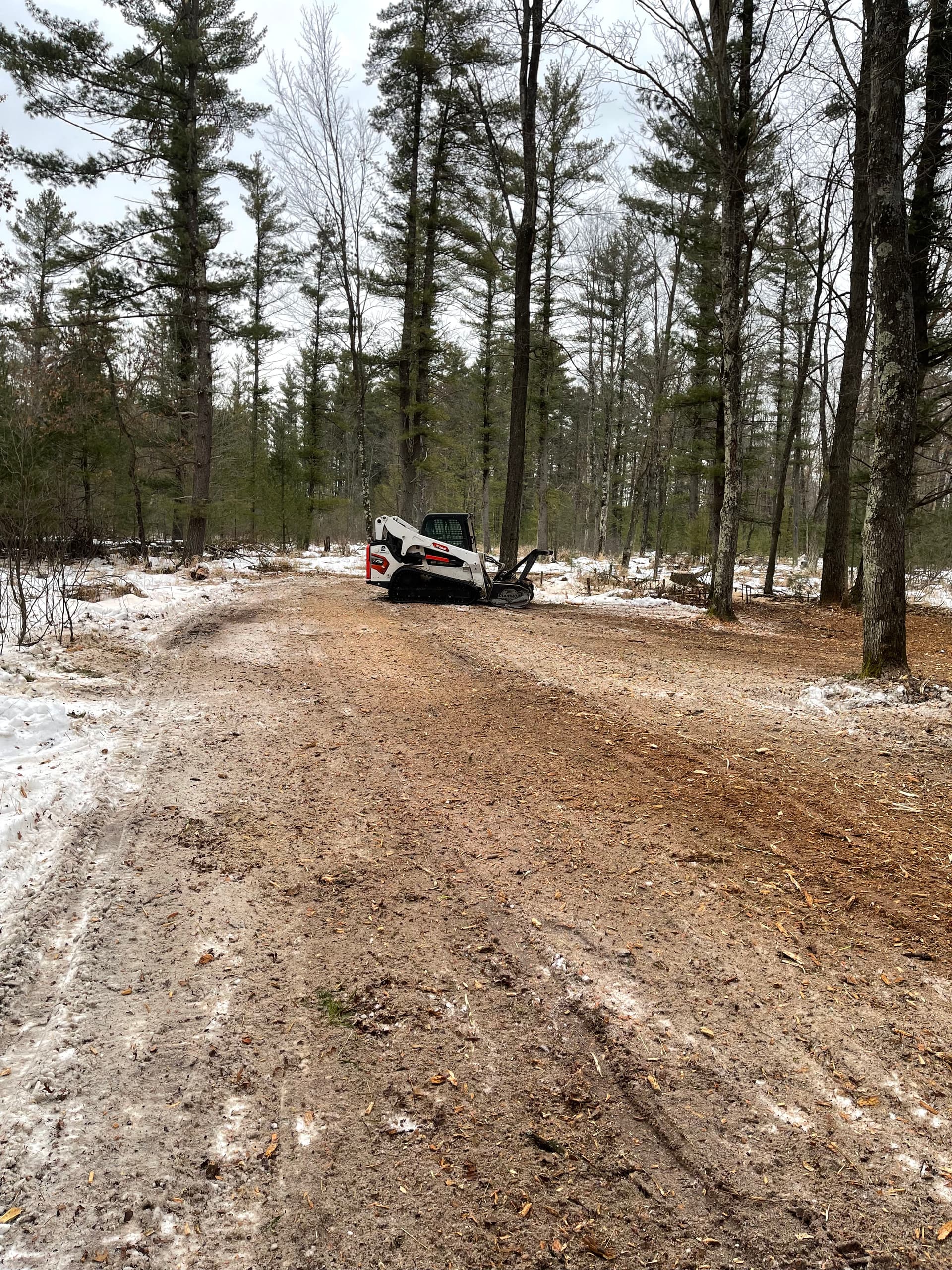 Trail Creation with Forestry Mulching in Neillsville image