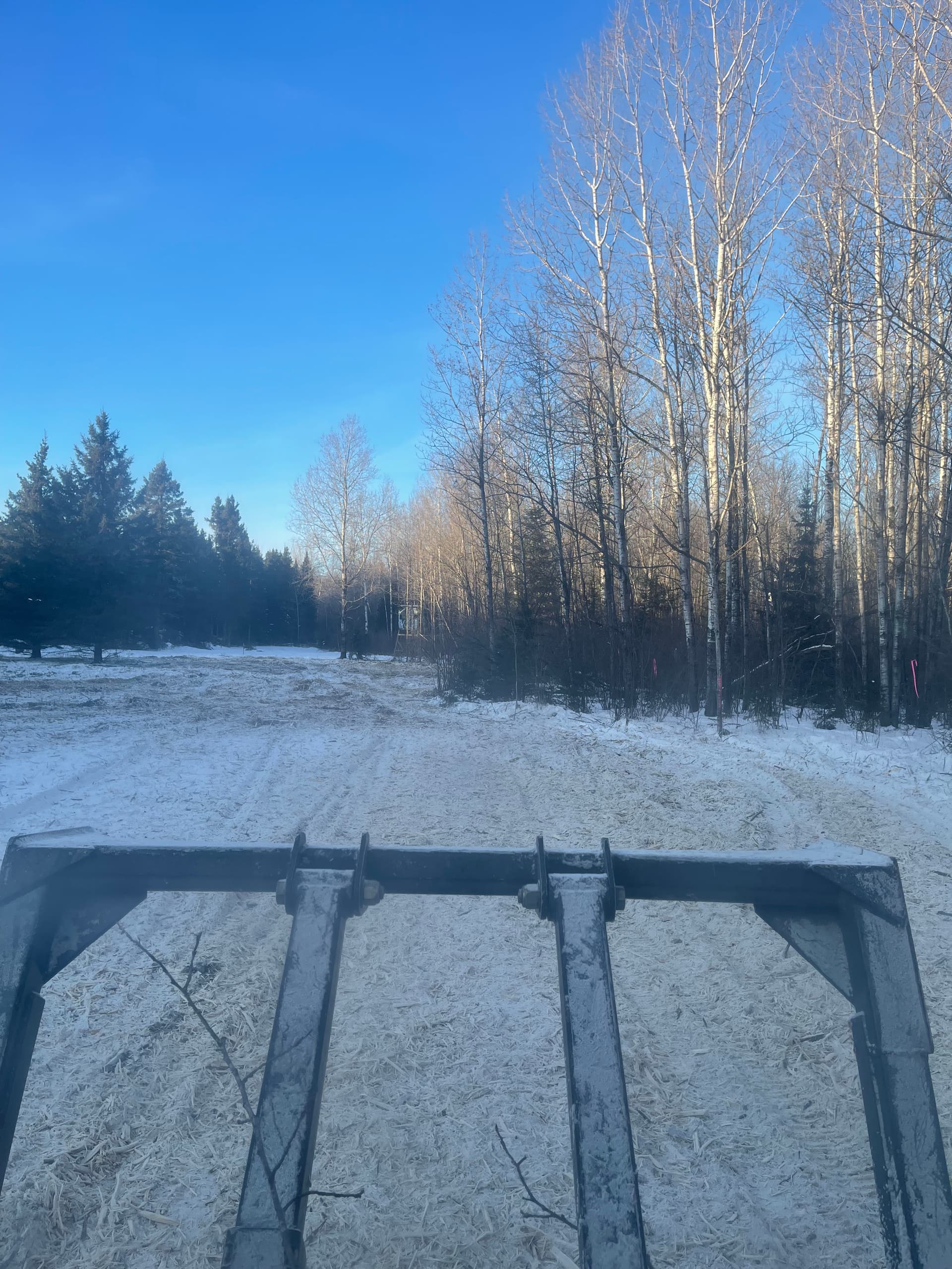 Gallery photos for Forestry Mulching for Clear Paths in Hewitt: Image #4