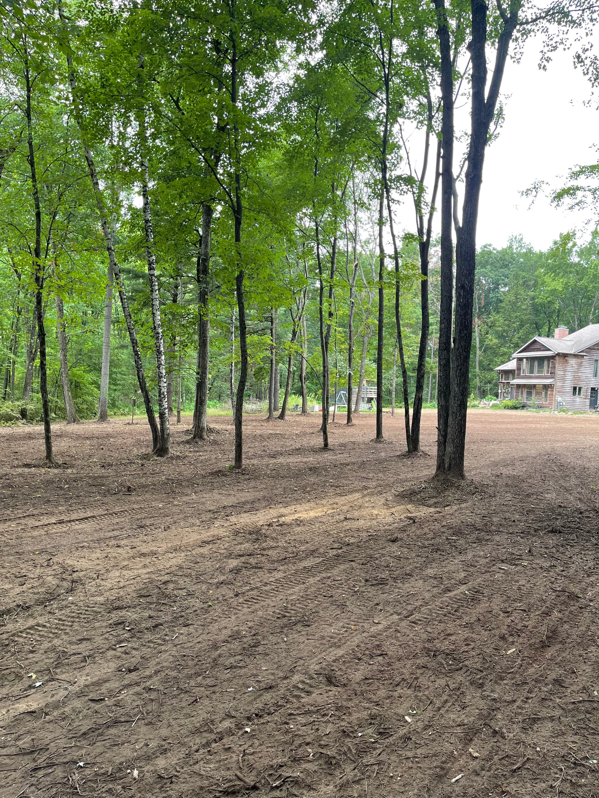 Gallery photos for Forestry Mulching Opens Up Overgrown Front Yard Near Pallen Lake: Image #4