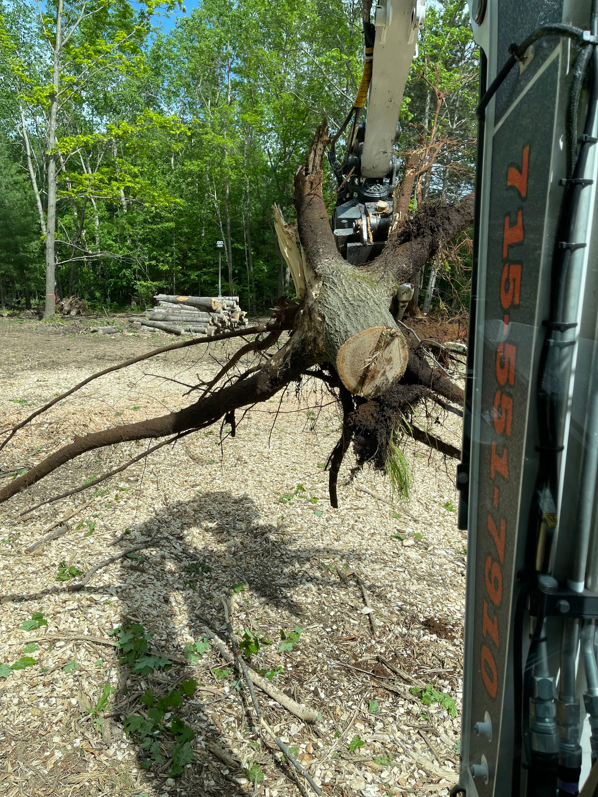 Gallery photos for Wooded Lot Cleared for a New Build in Mosinee: Image #4