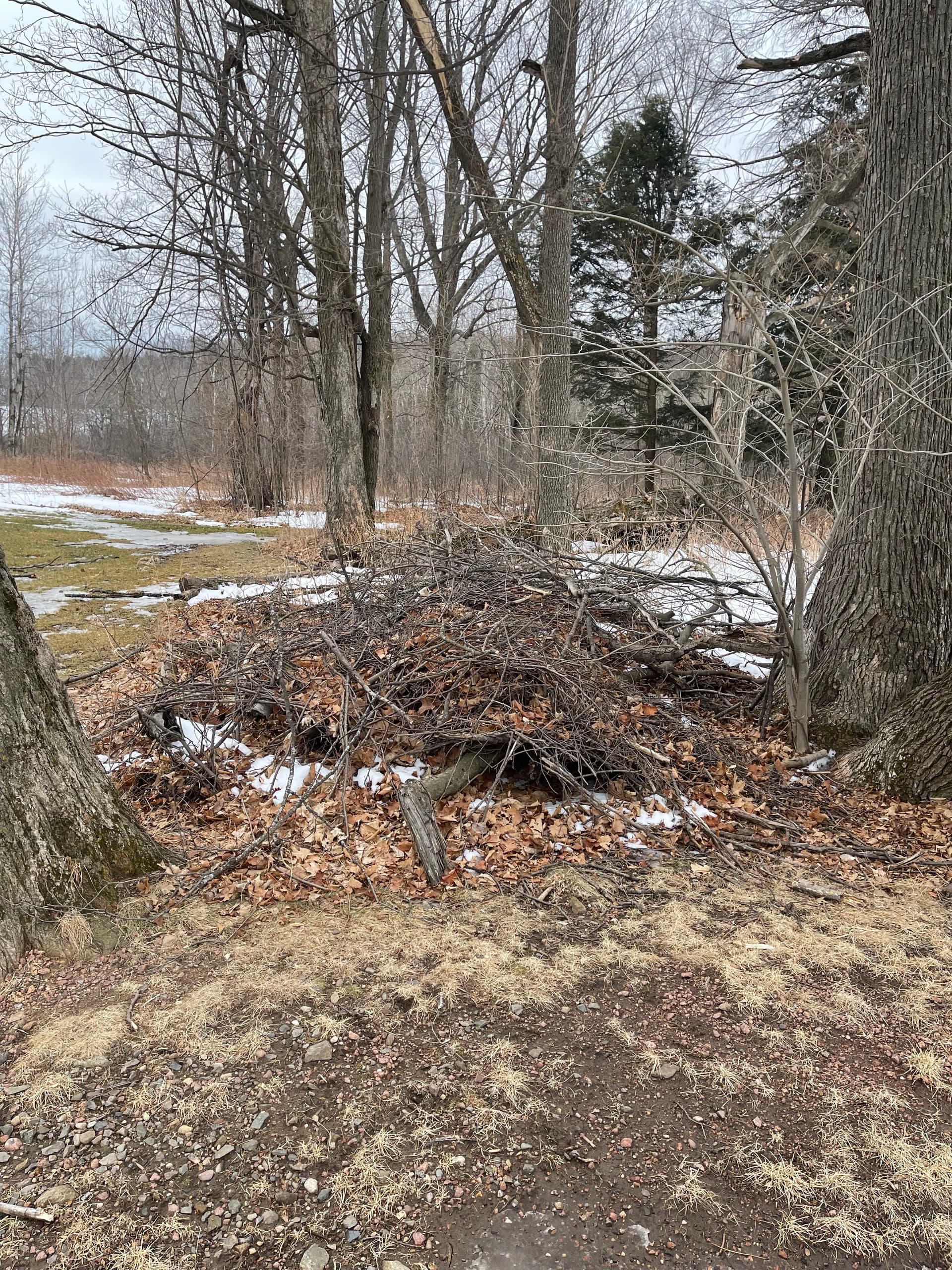 Gallery photos for Creating Open Spaces in Wausau: Image #1