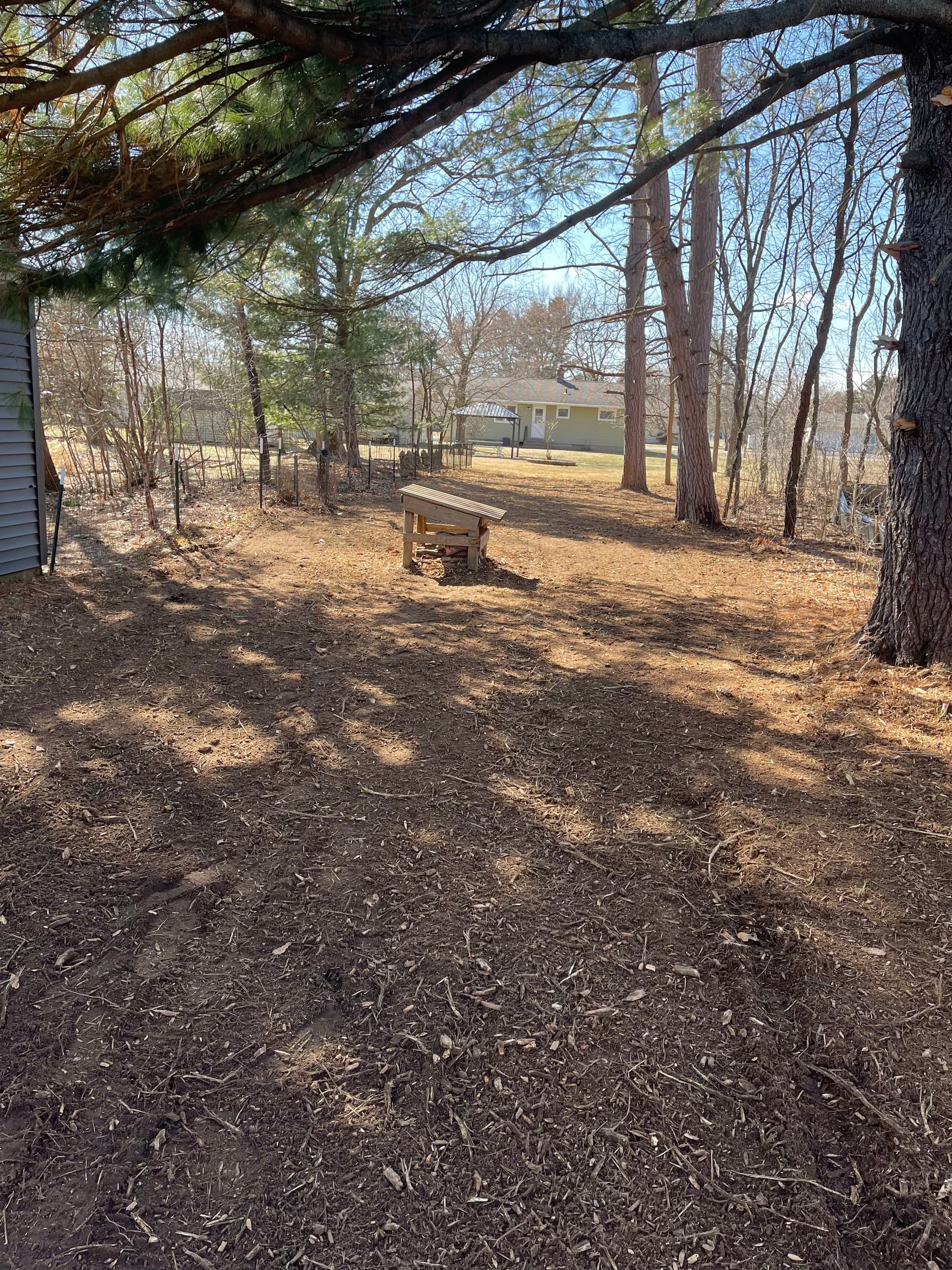 Gallery photos for Backyard Forestry Mulching in Weston: Image #2