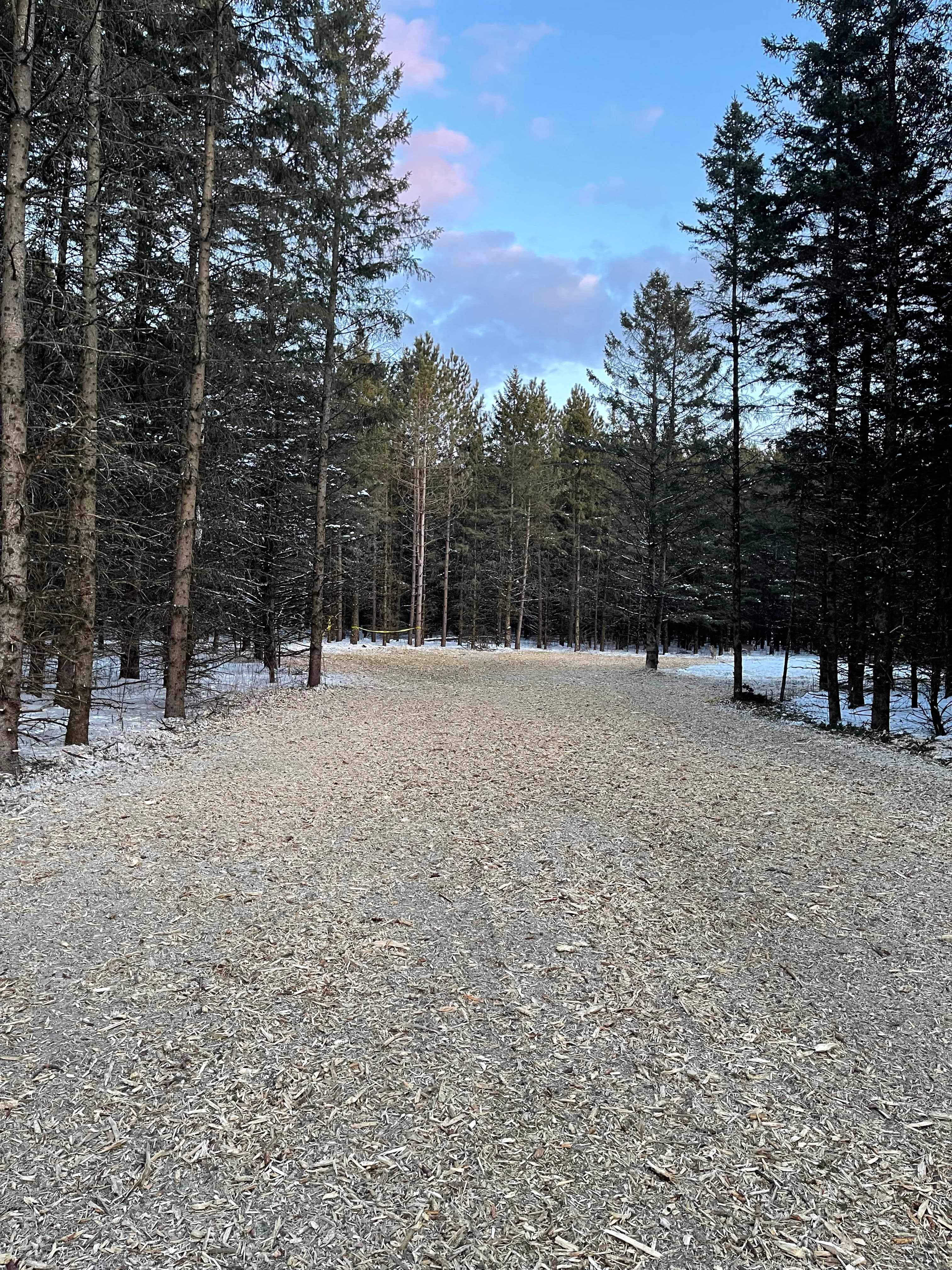 Project Forestry Mulching in Aniwa image