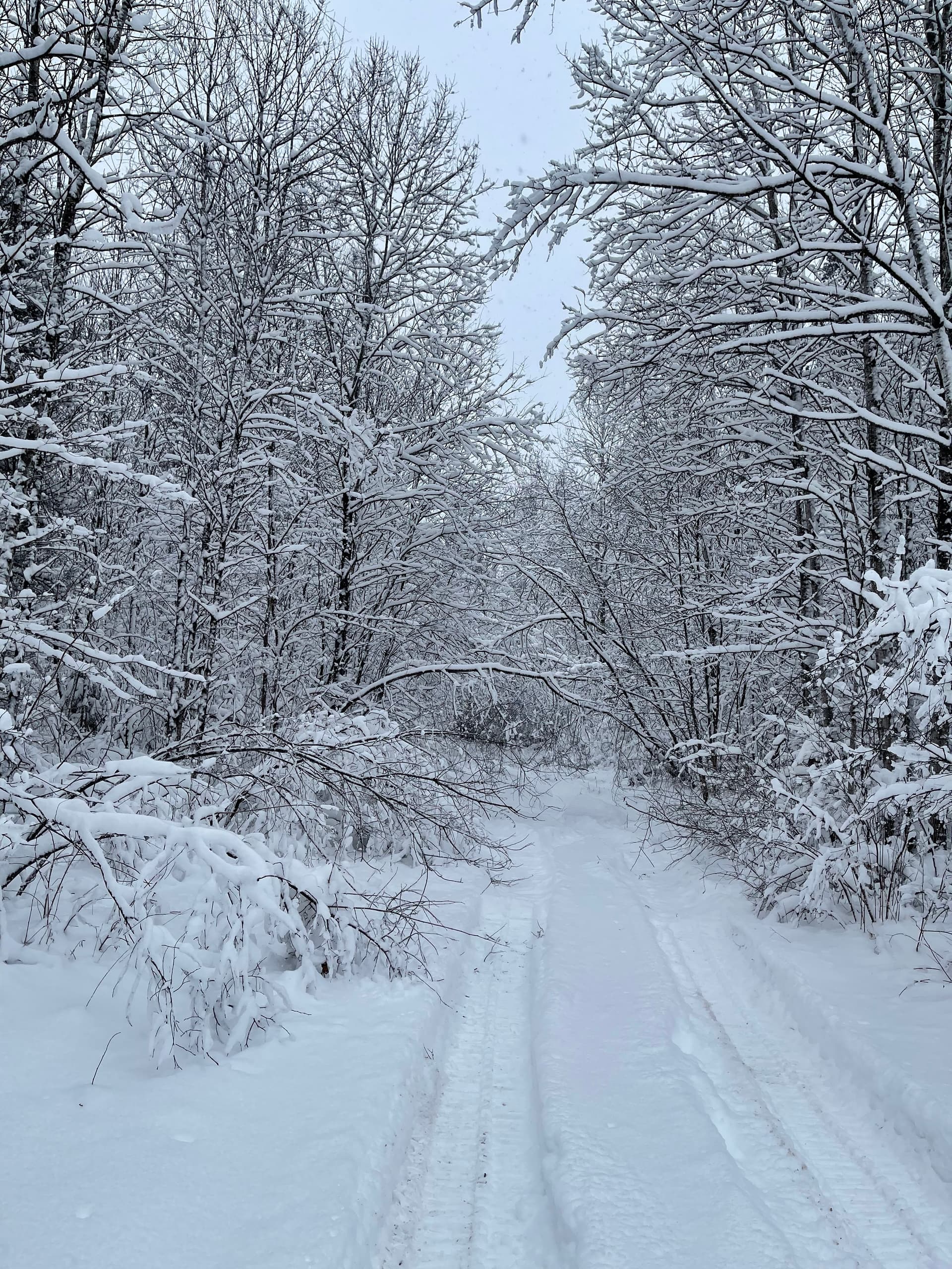 Gallery photos for Snowy Trails Cleared in Gleason: Image #3