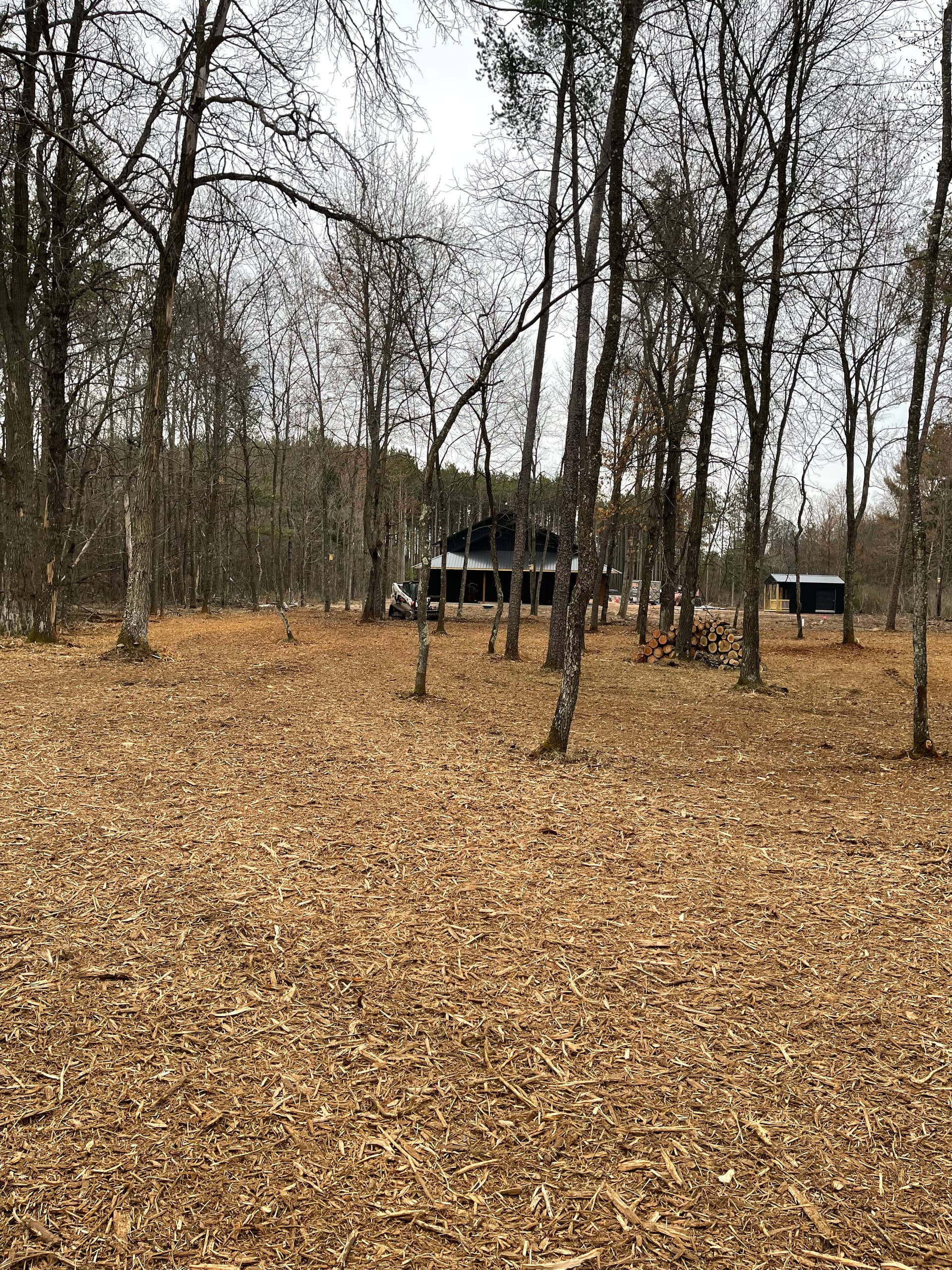 Gallery photos for Thick Brush Cleared Near Lake DuBay with Forestry Mulching: Image #2