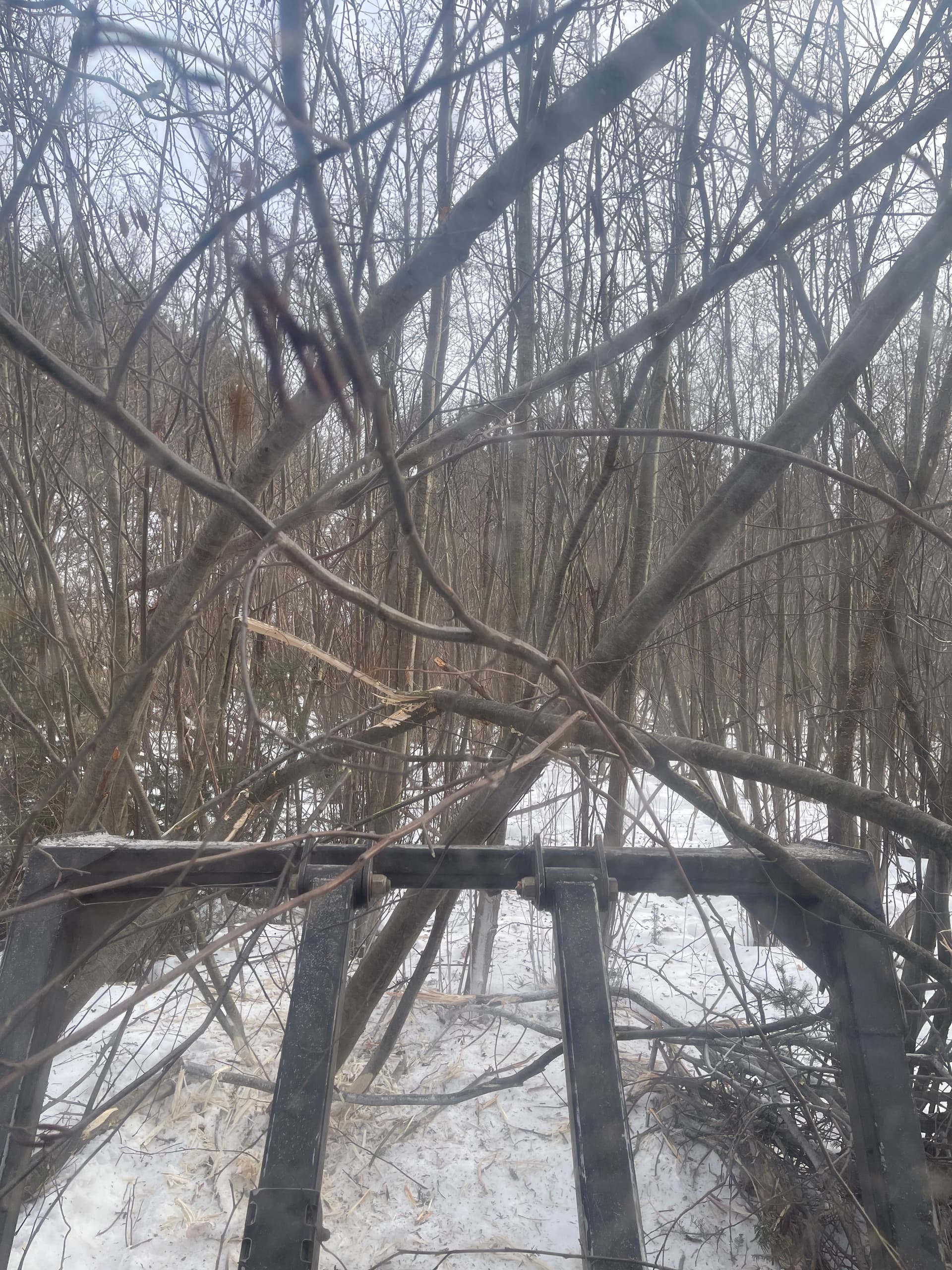 Gallery photos for Forest Trail Creation in Mosinee: Image #1