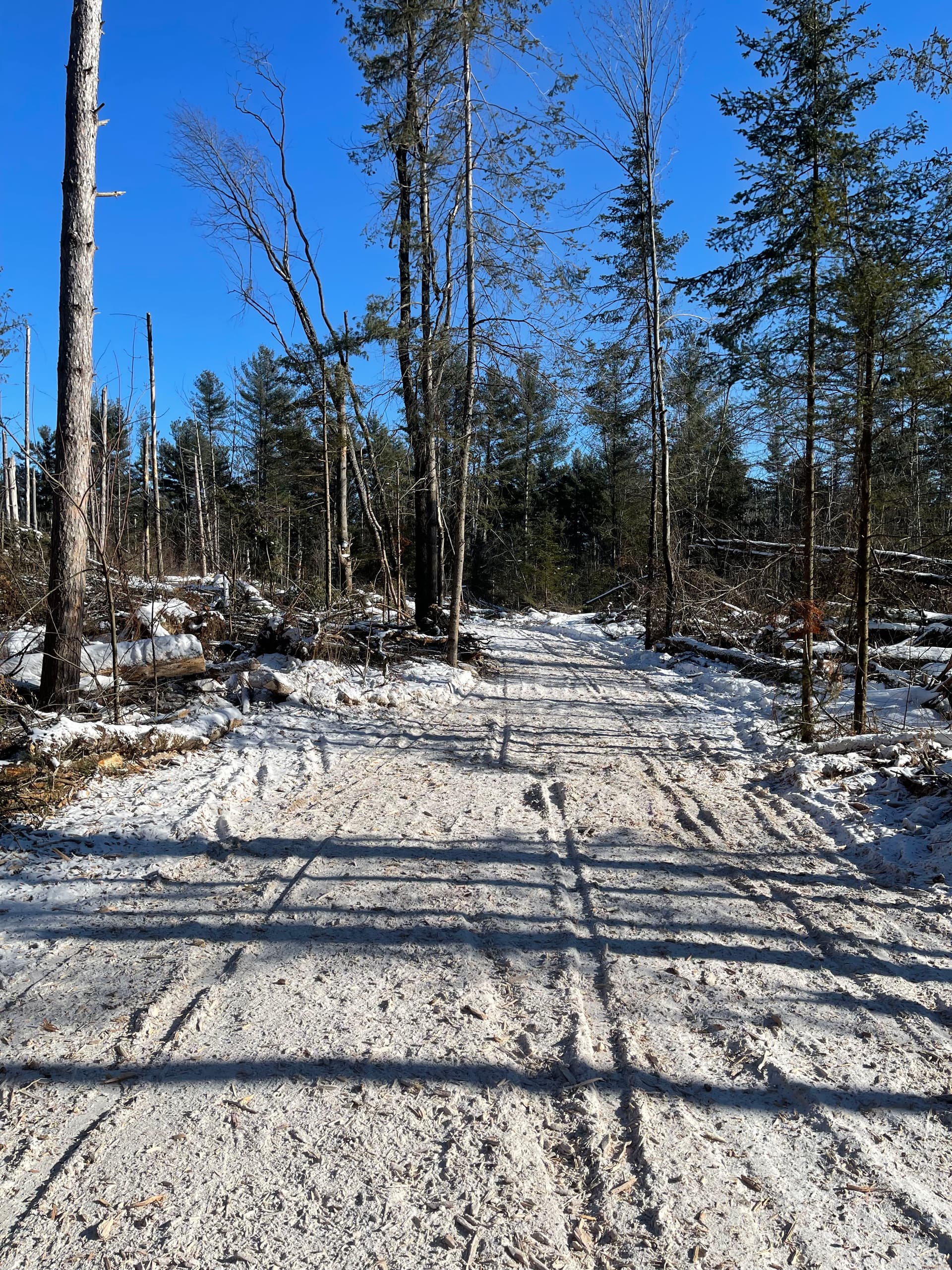 Gallery photos for Forestry Mulching and Snow Removal in Athens/Wausau: Image #1
