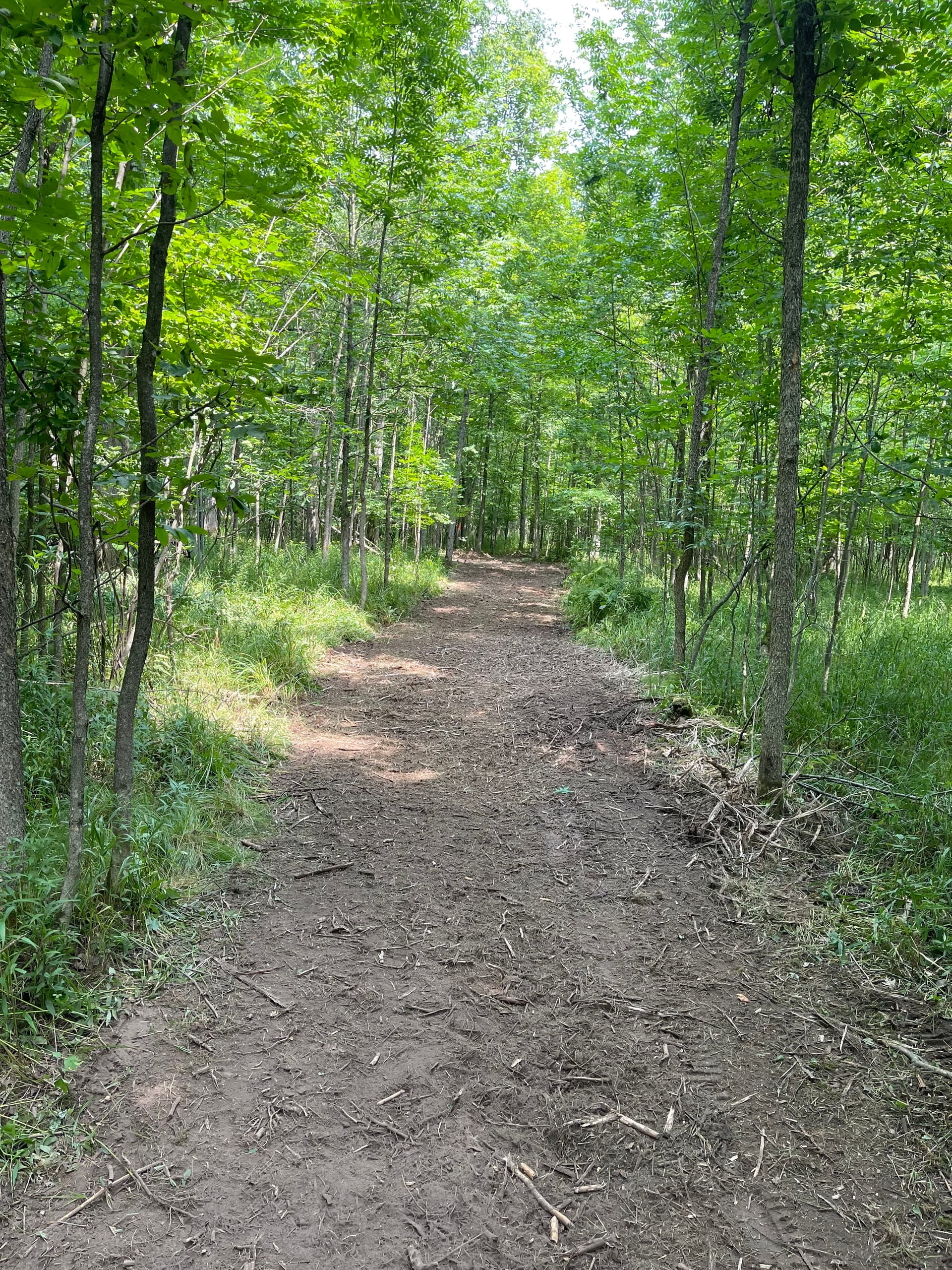Gallery photos for Forestry Mulching for Hunting Season Prep Near Loyal: Image #6
