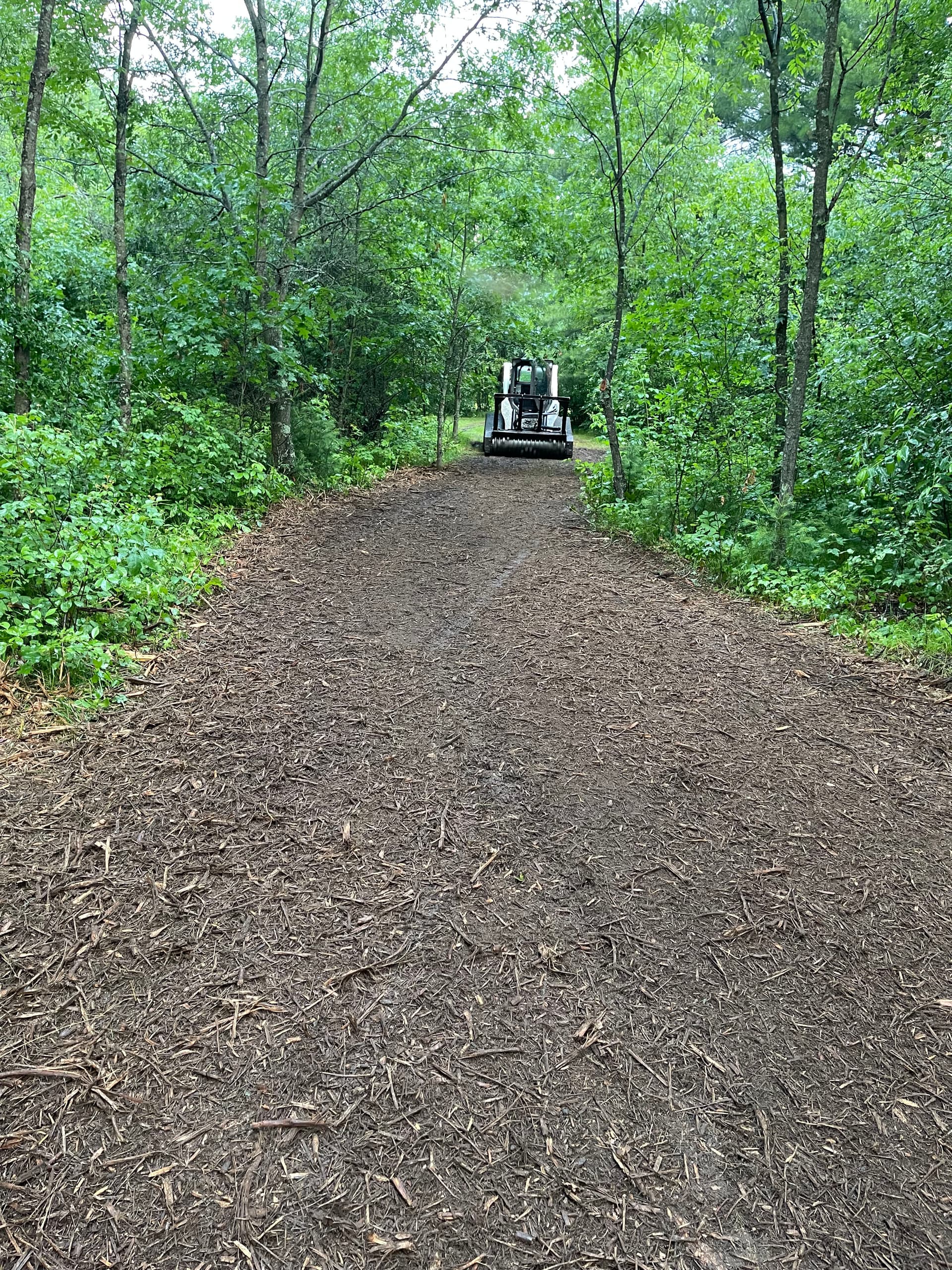 Forestry Mulching Opens Up Fresh Trails Near Lake DuBay image
