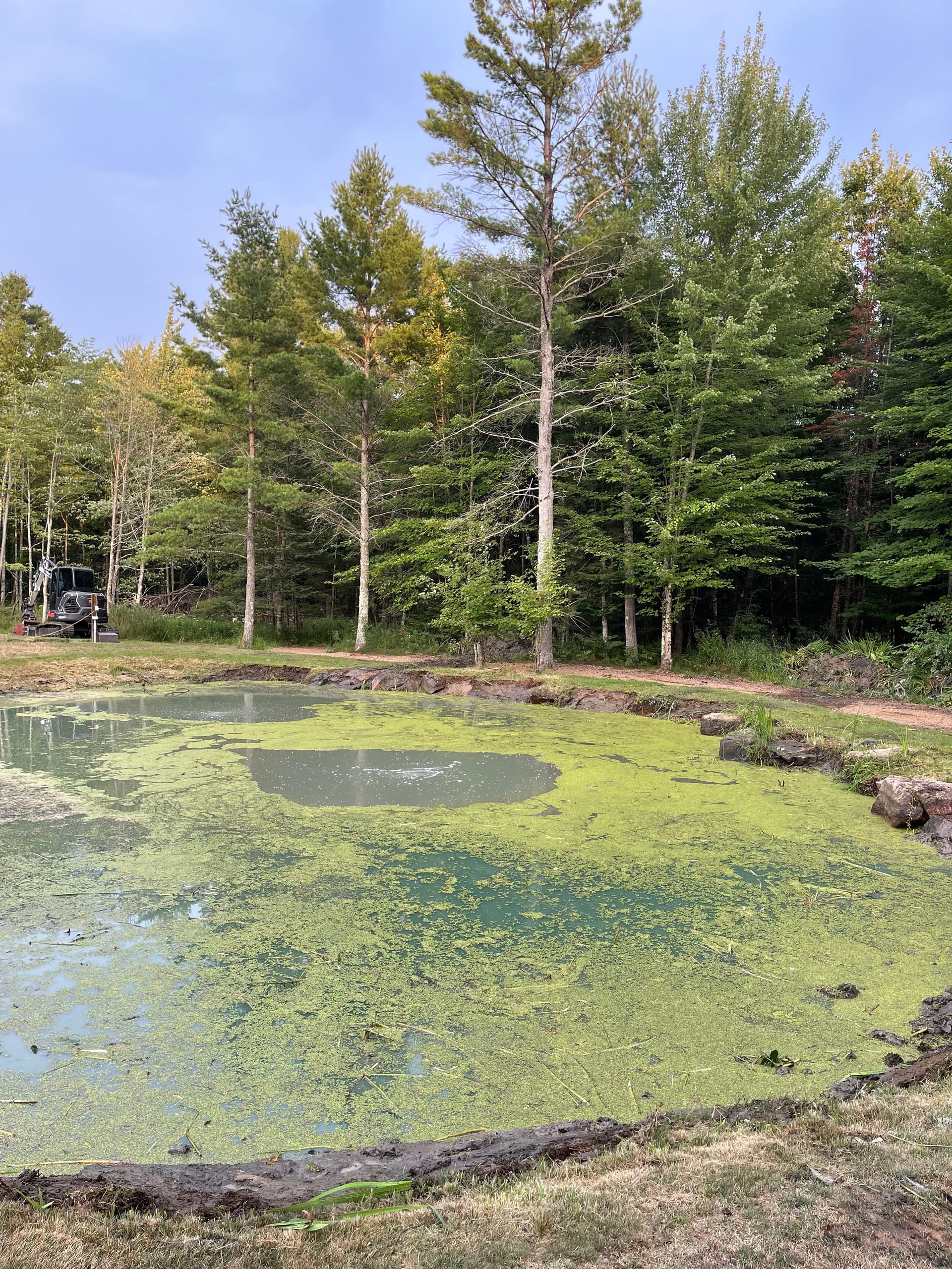 Gallery photos for Pond Clean-Out and Vegetation Removal in Wausau: Image #4