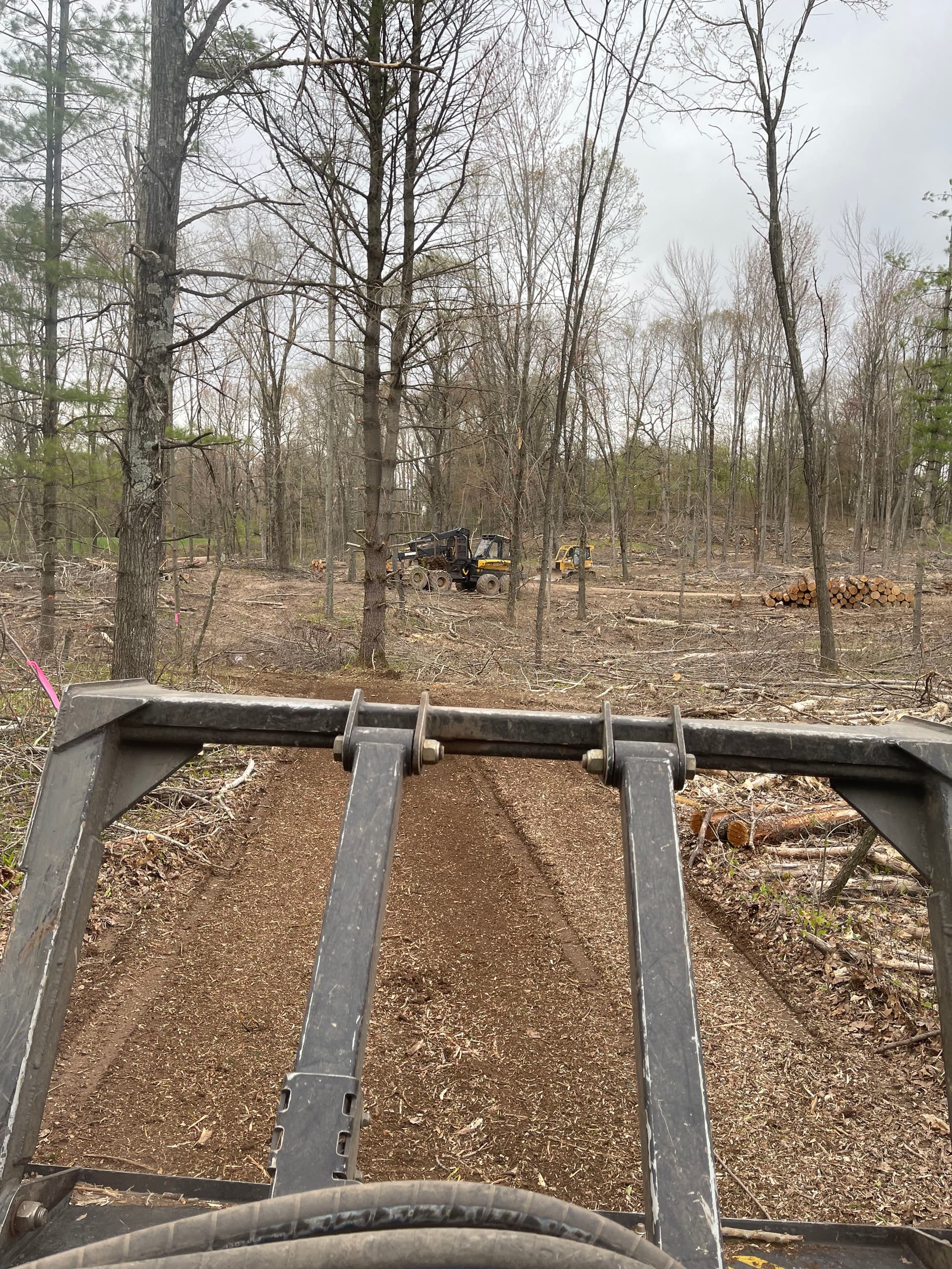 Gallery photos for Forestry Mulching Cleans Up Logging Debris in New Hope: Image #5
