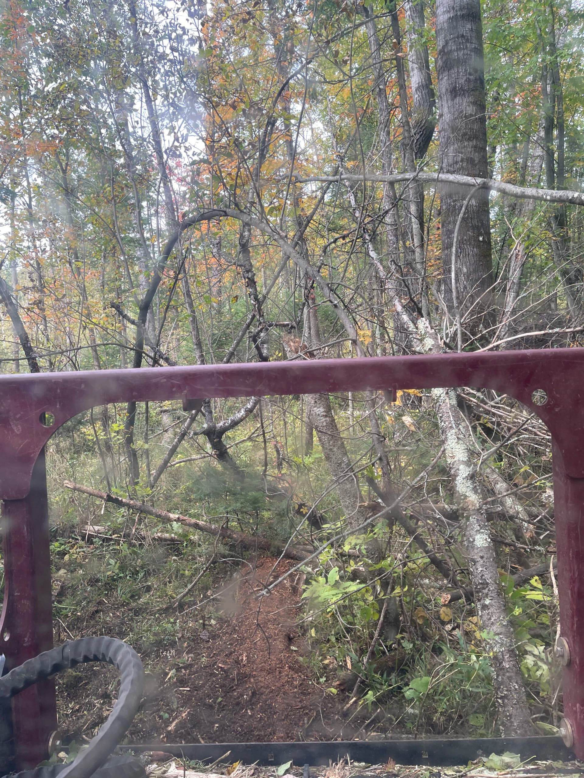 Gallery photos for Forestry Mulching Opens Up Fresh Trails in Weston/Ringle: Image #4