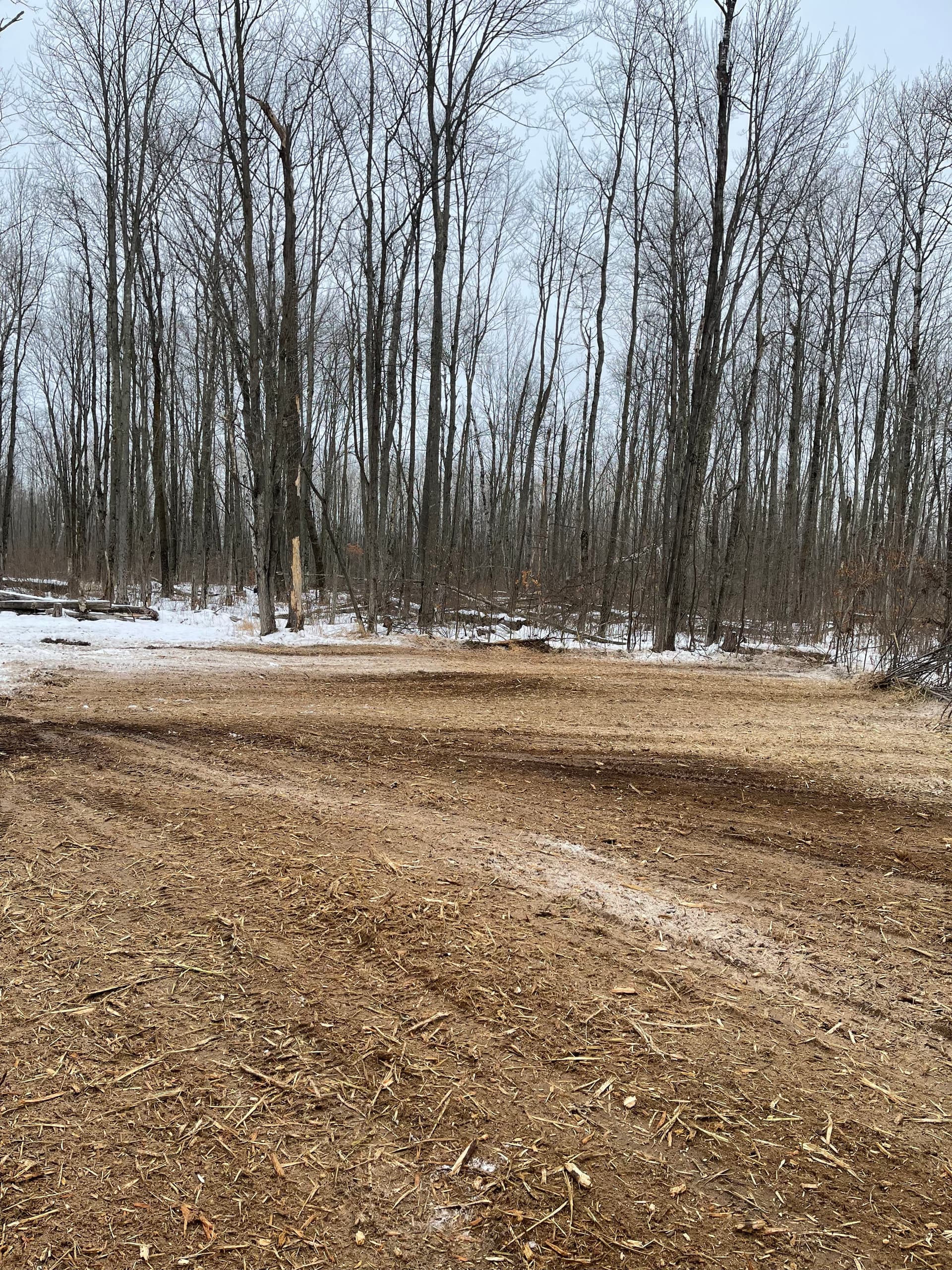 Gallery photos for Winter Wonderland Transformation Near Bevent: Image #3