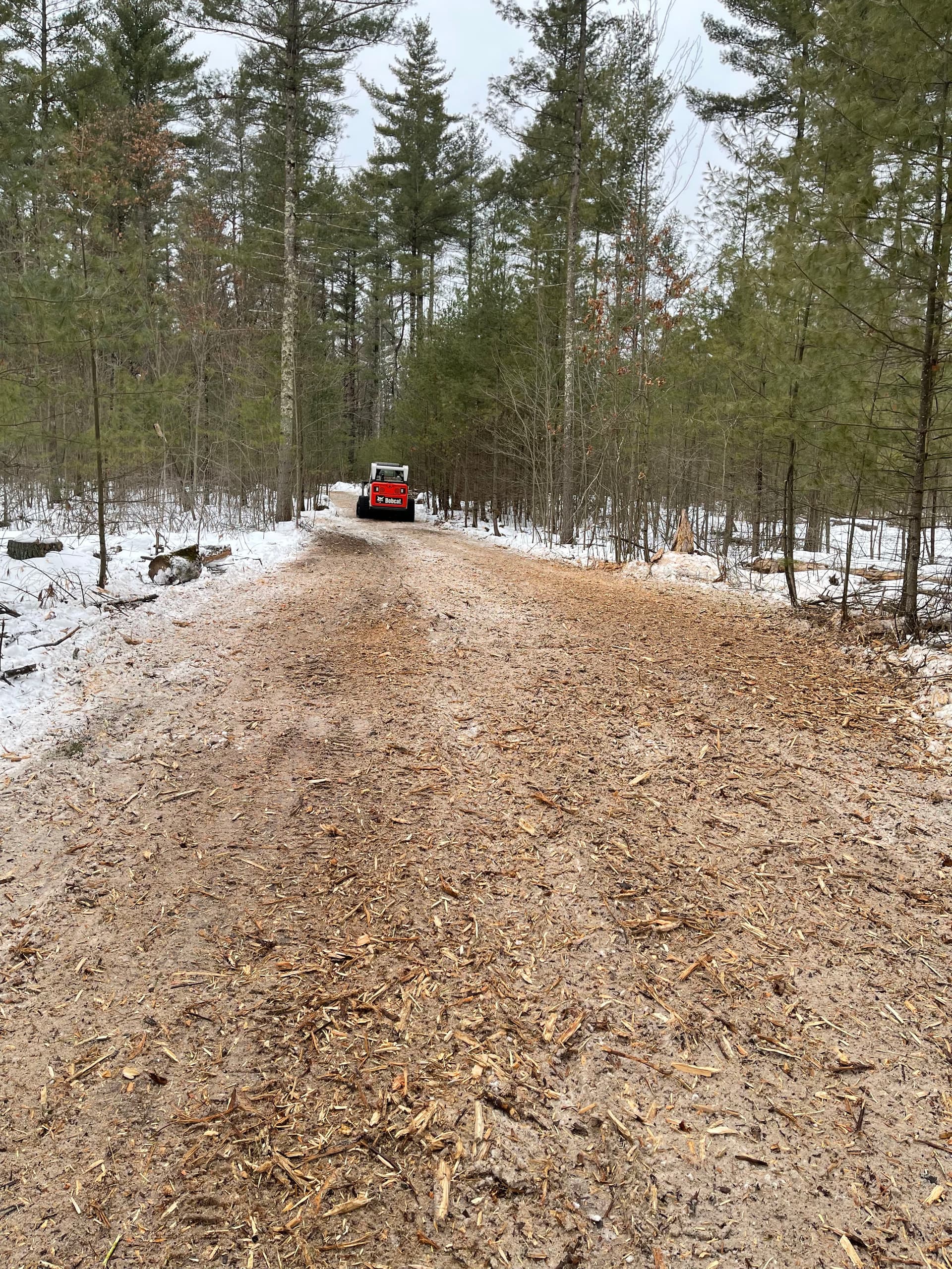 Gallery photos for Trail Creation with Forestry Mulching in Neillsville: Image #4