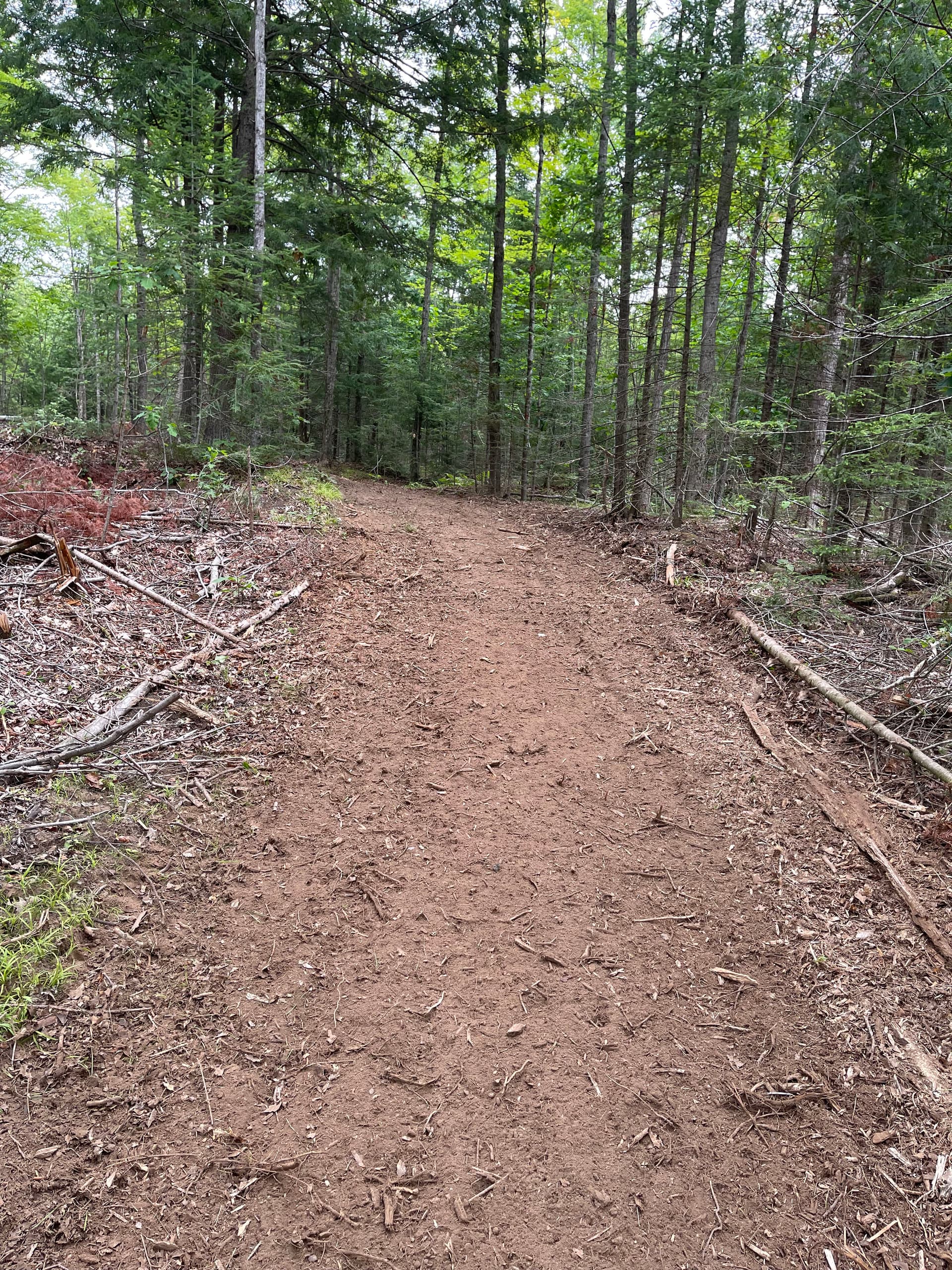 Gallery photos for Timber Slash Mulching Clears a Usable Trail in Rib Lake: Image #1