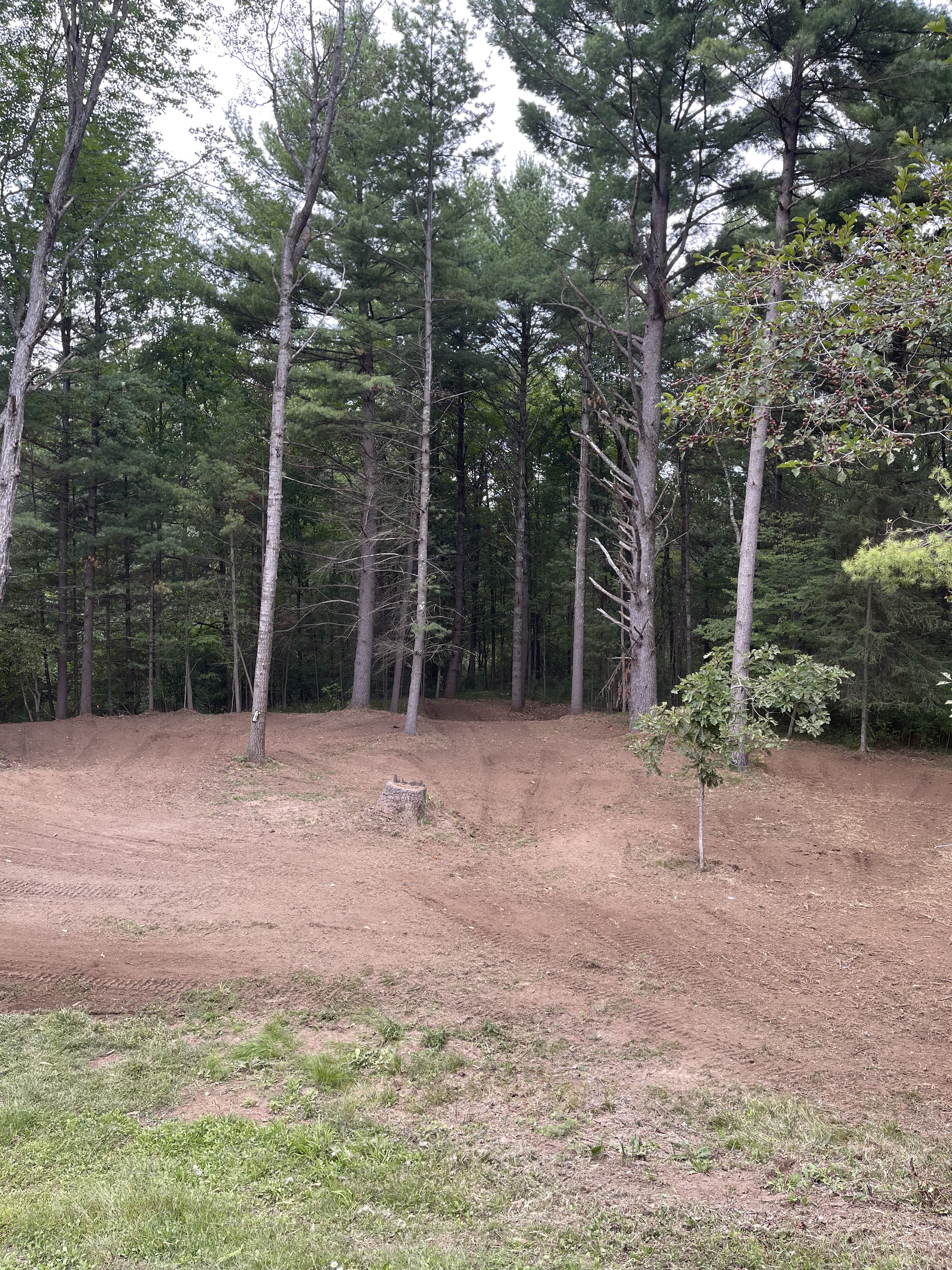 Backyard Forestry Mulching Clears the Way Along the Eau Claire River in Weston image