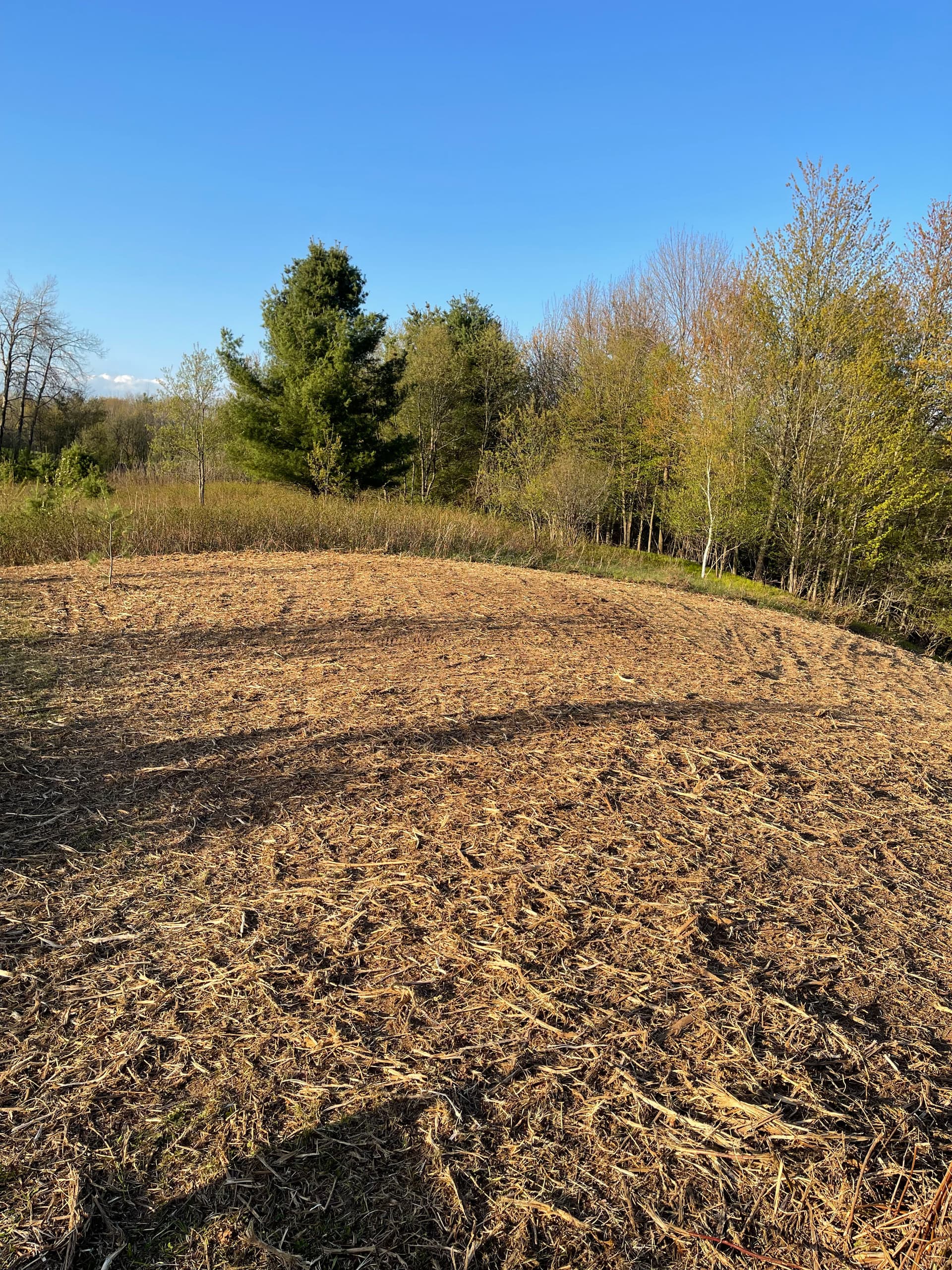 Gallery photos for Overgrown Hillside Cleanup in Hatley WI Done Right: Image #3