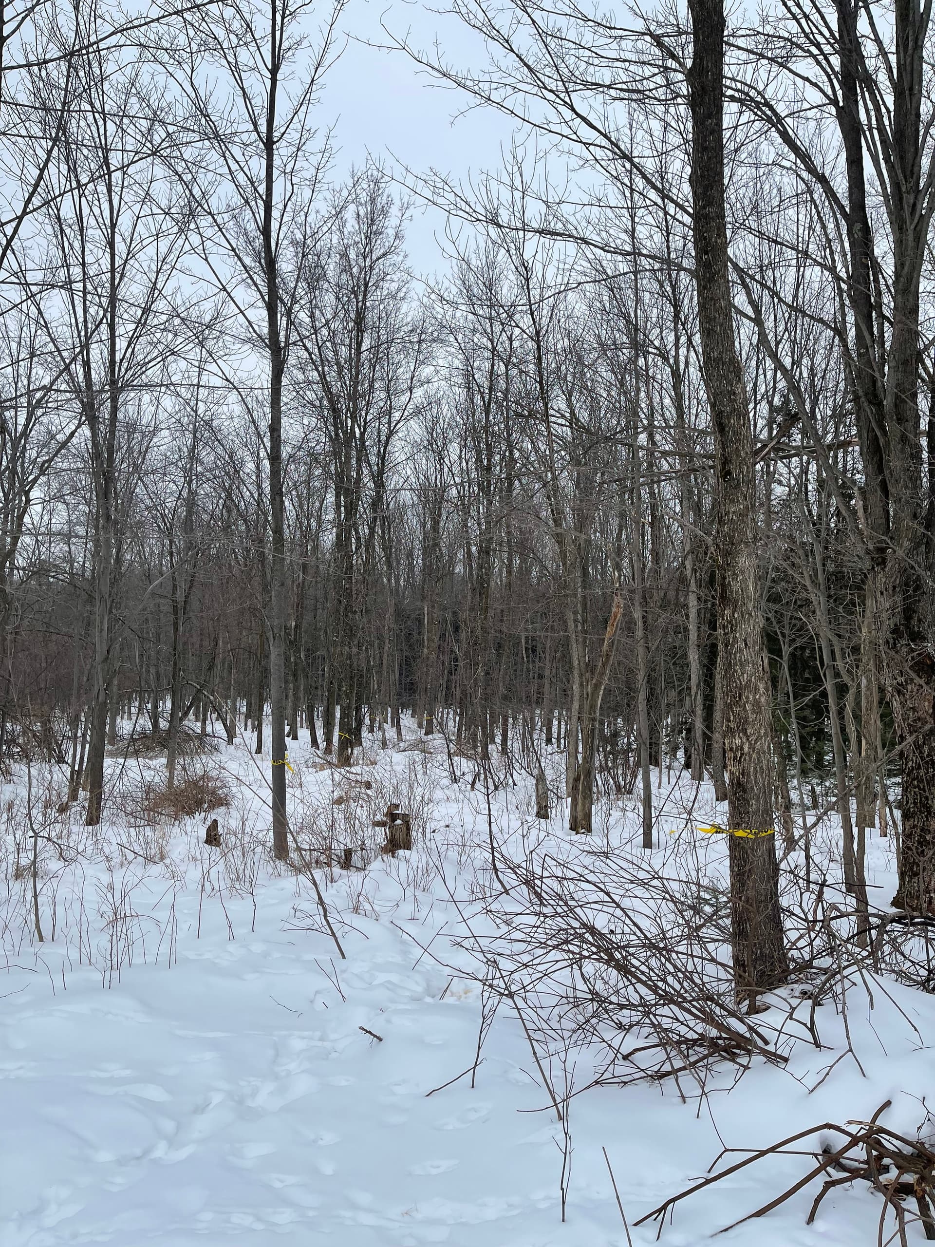 Gallery photos for Opening New Hunting Paths for Empowered Dream Hunts in Marathon: Image #1