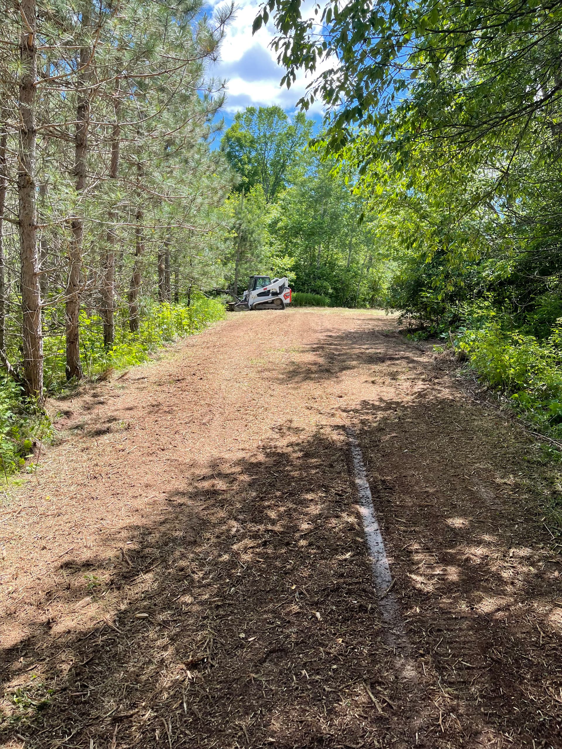 Gallery photos for Forestry Mulching That Turns Overgrown Land Into Usable Trails: Image #3