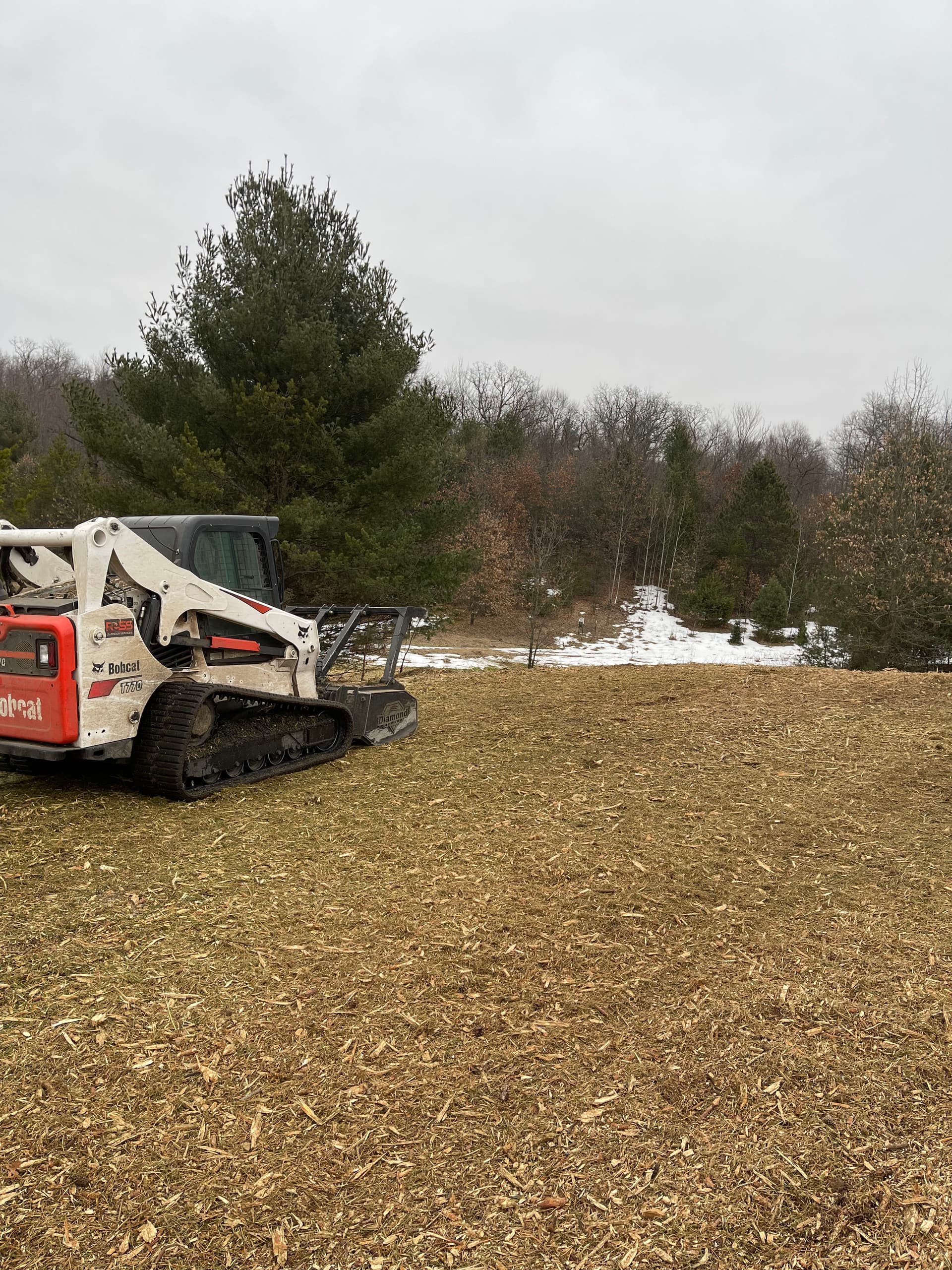 Forestry Mulching Success in Custer's Winter Landscape image