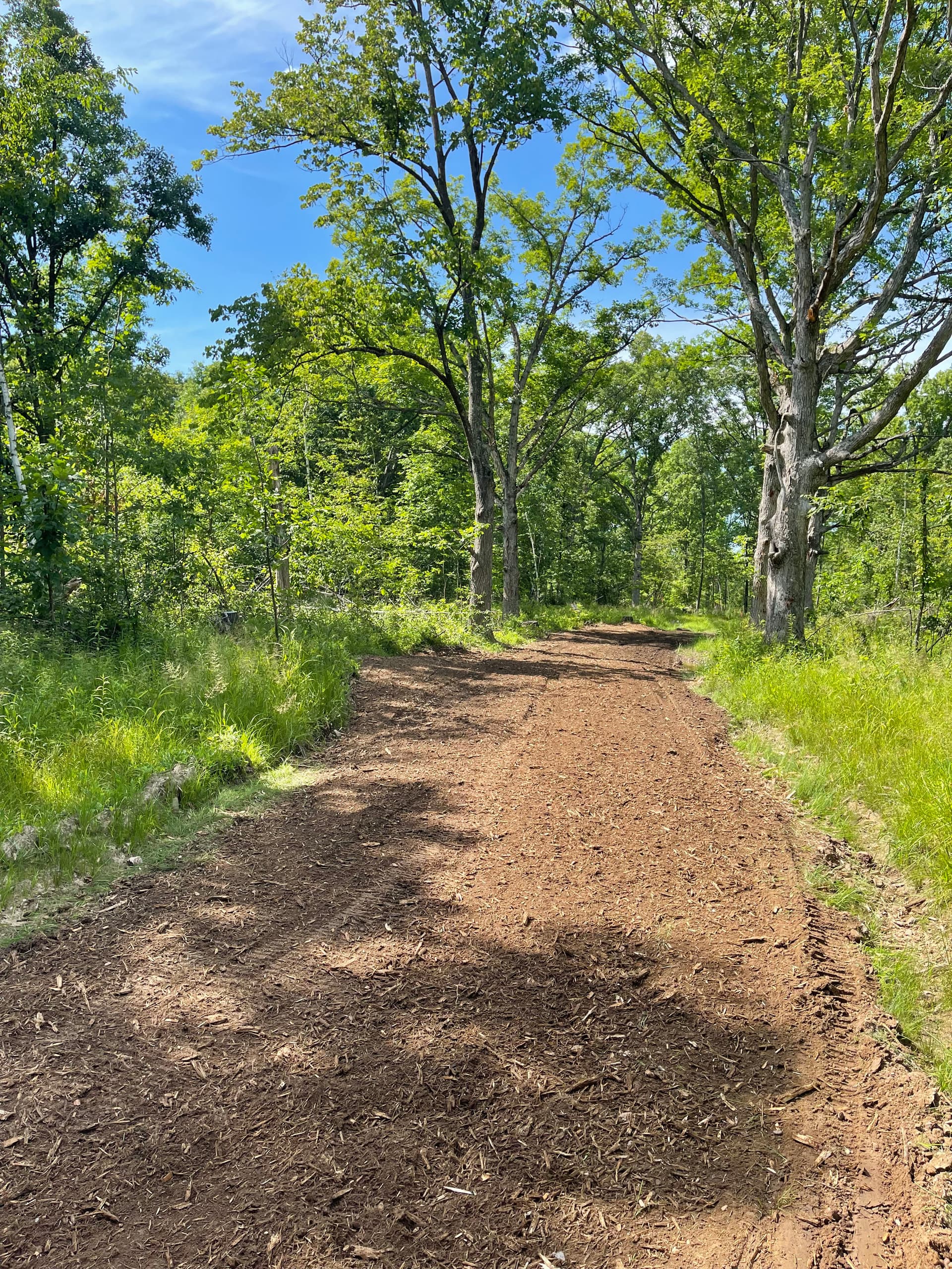 Gallery photos for Forestry Mulching Cleans Up Logging Trails Near Neillsville: Image #2